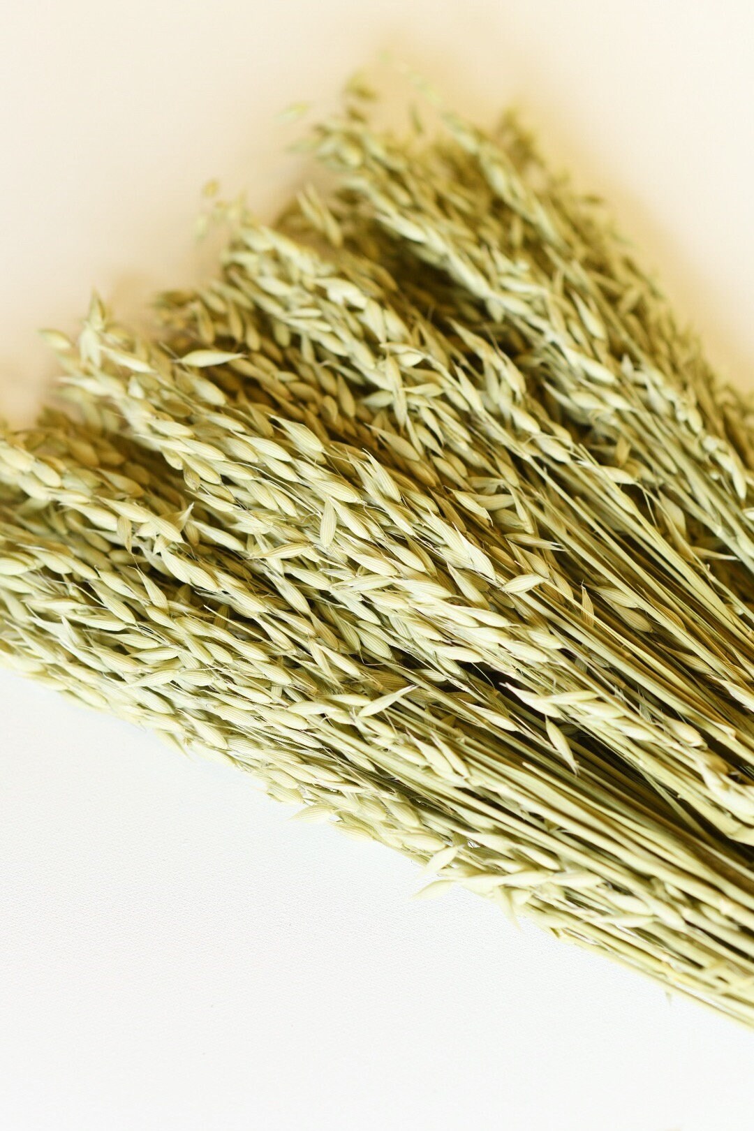 Dried Avena Oats, Green Grains, Dried Oats, Wedding Preserved Bouquets, Bunches, Natural Flax, Golden Pods, Flowers, Wheats and Grass