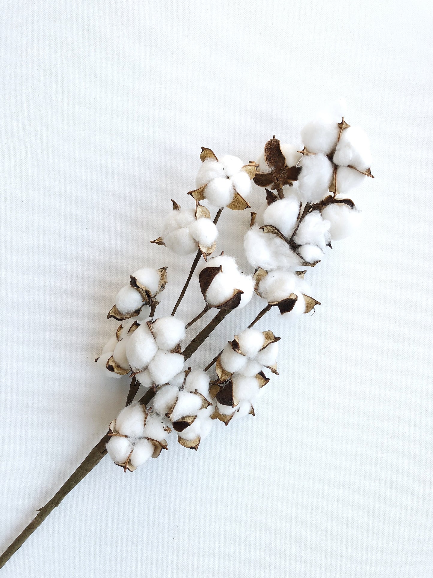 13" 18" 31" Cotton Stem Bunch – White Cotton Balls, Branches for Wedding, Rustic Décor, DIY Floral Arrangements, Farmhouse Style, Anniversary Flowers