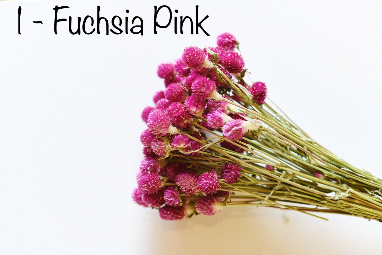 Dried Globe Amaranth (Gomphrena) Flowers β Red, Fuchsia, Rose Pink β Wedding Flowers, Wildflower Arrangements, Dried Floral Bouquets