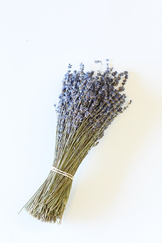 Dried English Lavender Bunch – 200-250 Stems, 3 oz, Preserved for Longevity, Blue-Purple Color, Fragrant, Perfect for Weddings & Home Décor