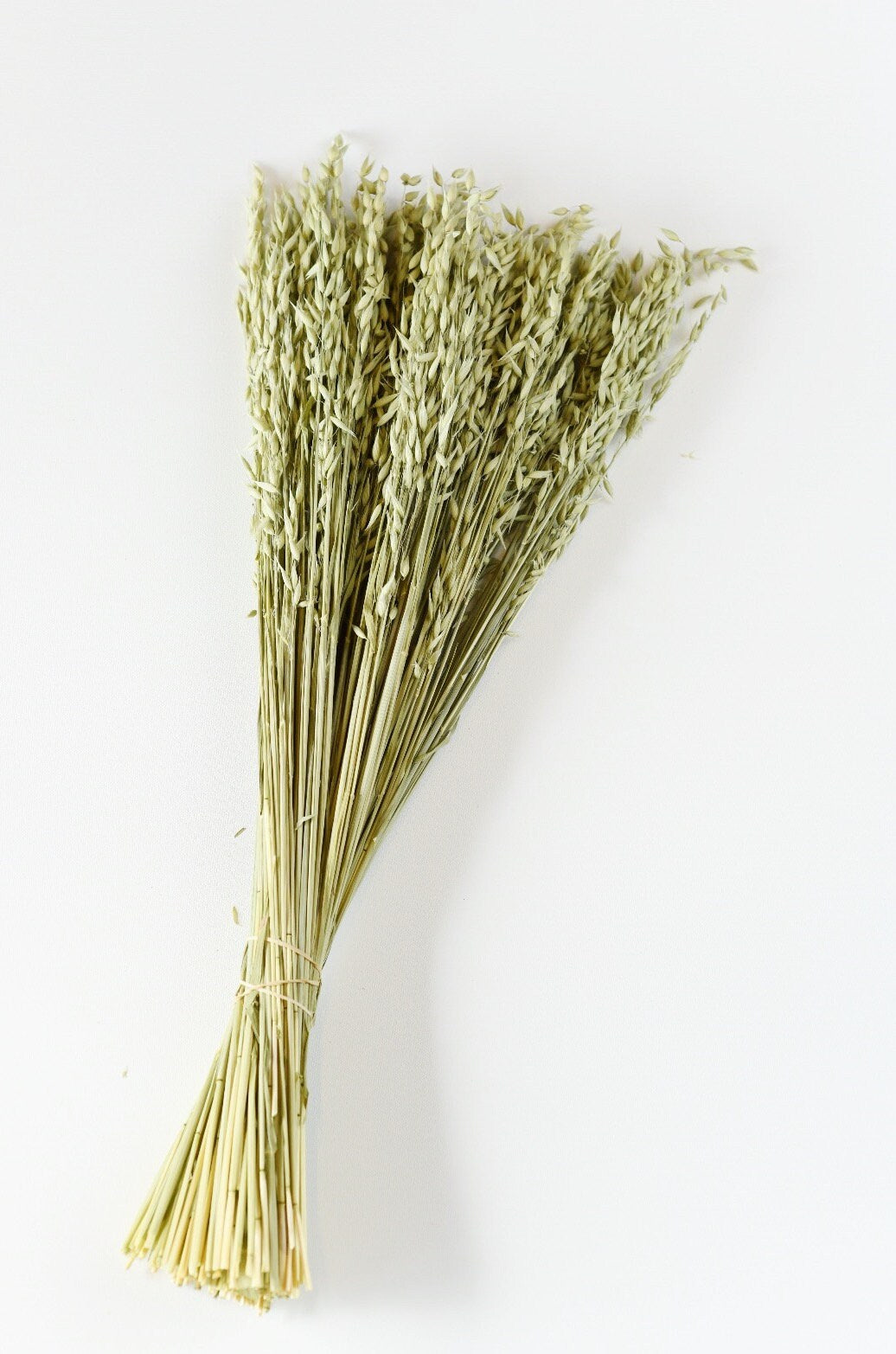 Dried Avena Oats, Green Grains, Dried Oats, Wedding Preserved Bouquets, Bunches, Natural Flax, Golden Pods, Flowers, Wheats and Grass