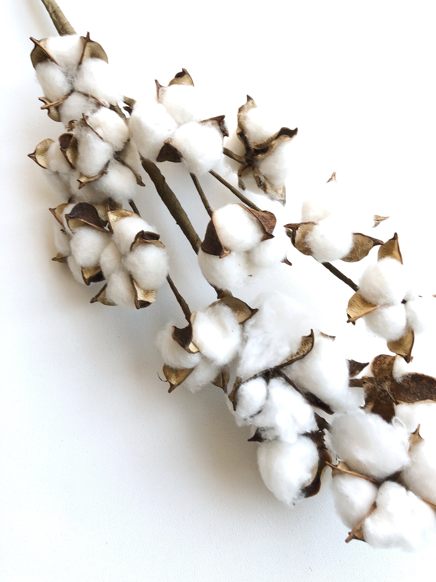 13" 18" 31" Cotton Stem Bunch – White Cotton Balls, Branches for Wedding, Rustic Décor, DIY Floral Arrangements, Farmhouse Style, Anniversary Flowers