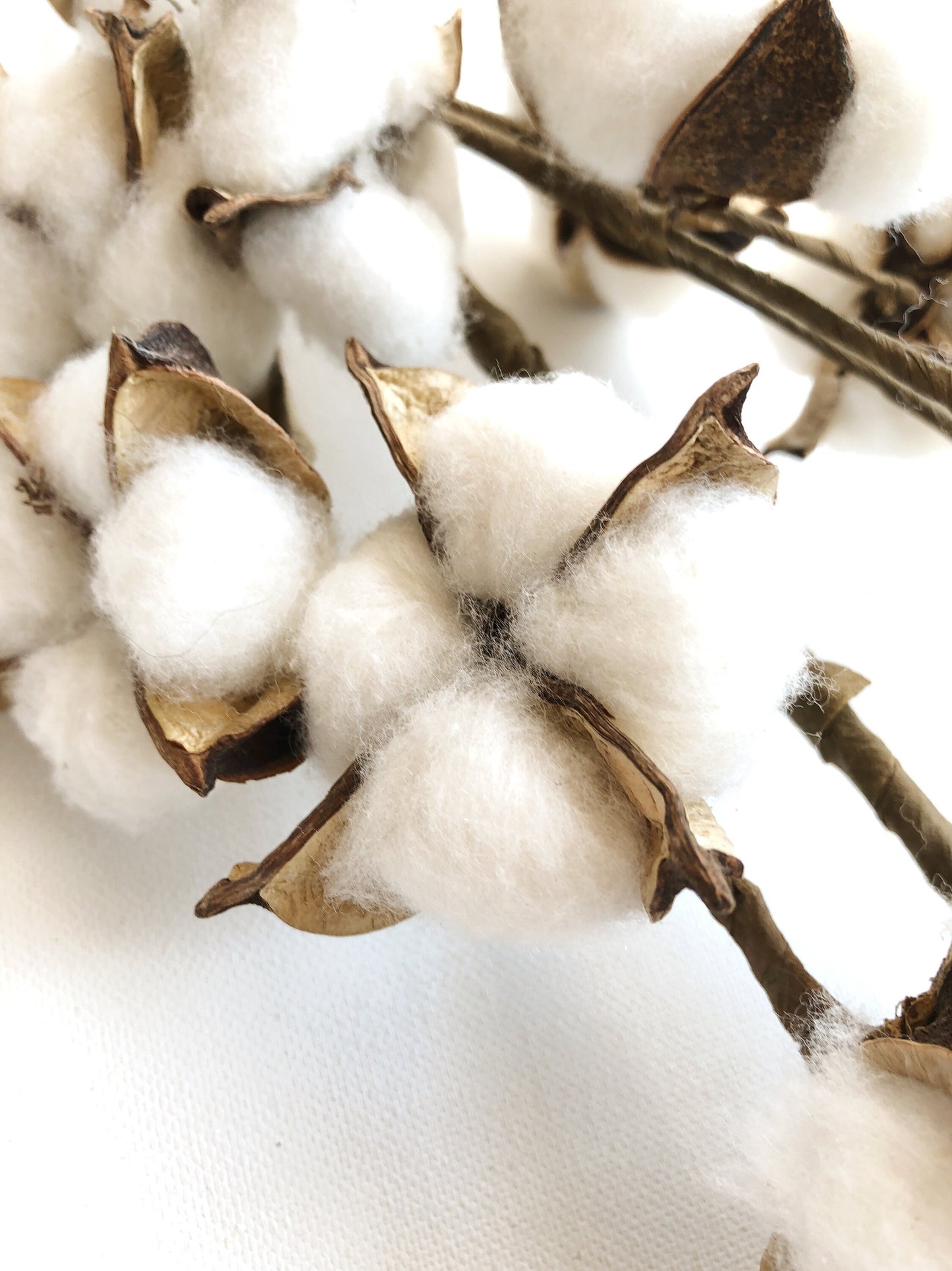 13" 18" 31" Cotton Stem Bunch – White Cotton Balls, Branches for Wedding, Rustic Décor, DIY Floral Arrangements, Farmhouse Style, Anniversary Flowers