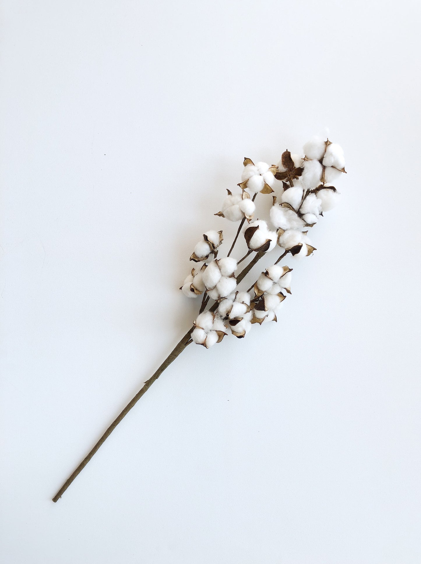 13" 18" 31" Cotton Stem Bunch – White Cotton Balls, Branches for Wedding, Rustic Décor, DIY Floral Arrangements, Farmhouse Style, Anniversary Flowers