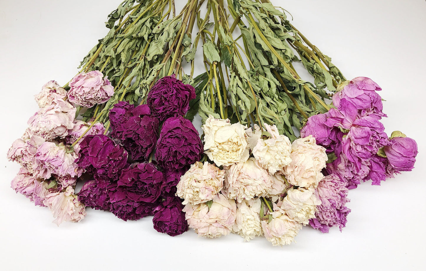 Dried Peony Blooms – Pink, Burgundy, Cream, Beige, Nude – Wedding Bouquets, Bridal Flowers, DIY Décor, Rustic Centerpieces, Home Décor