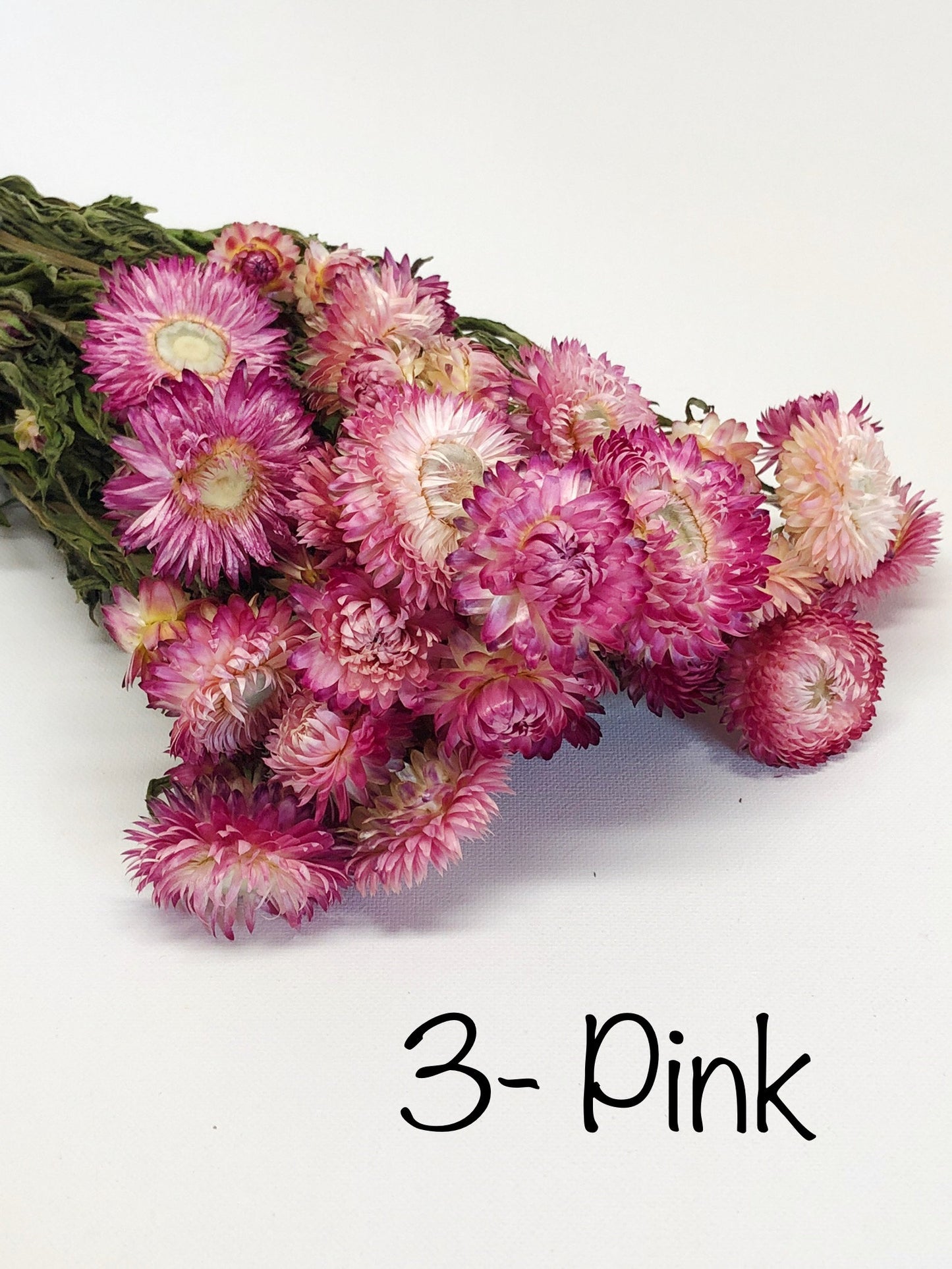 Strawflower, Dried Flowers, White, Cream, Pink, Red, Yellow, Purple, Preserved Florals, Colorful, Wildflowers, Wedding