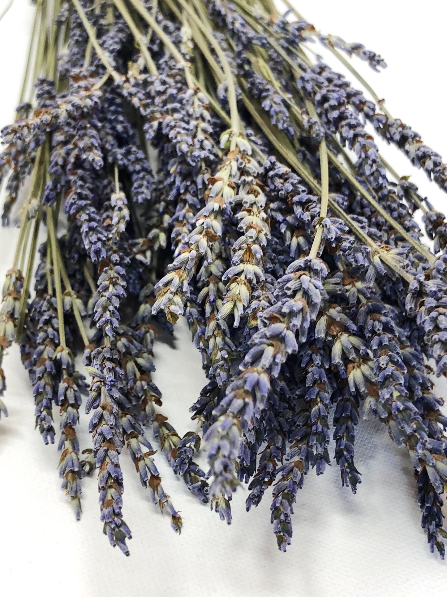 French Lavender, Preserved Flowers, Dried Flower, Lavender, Long Stems, Dried Lavender, Bundles, Wedding, Home Decor, Floral, Flowers
