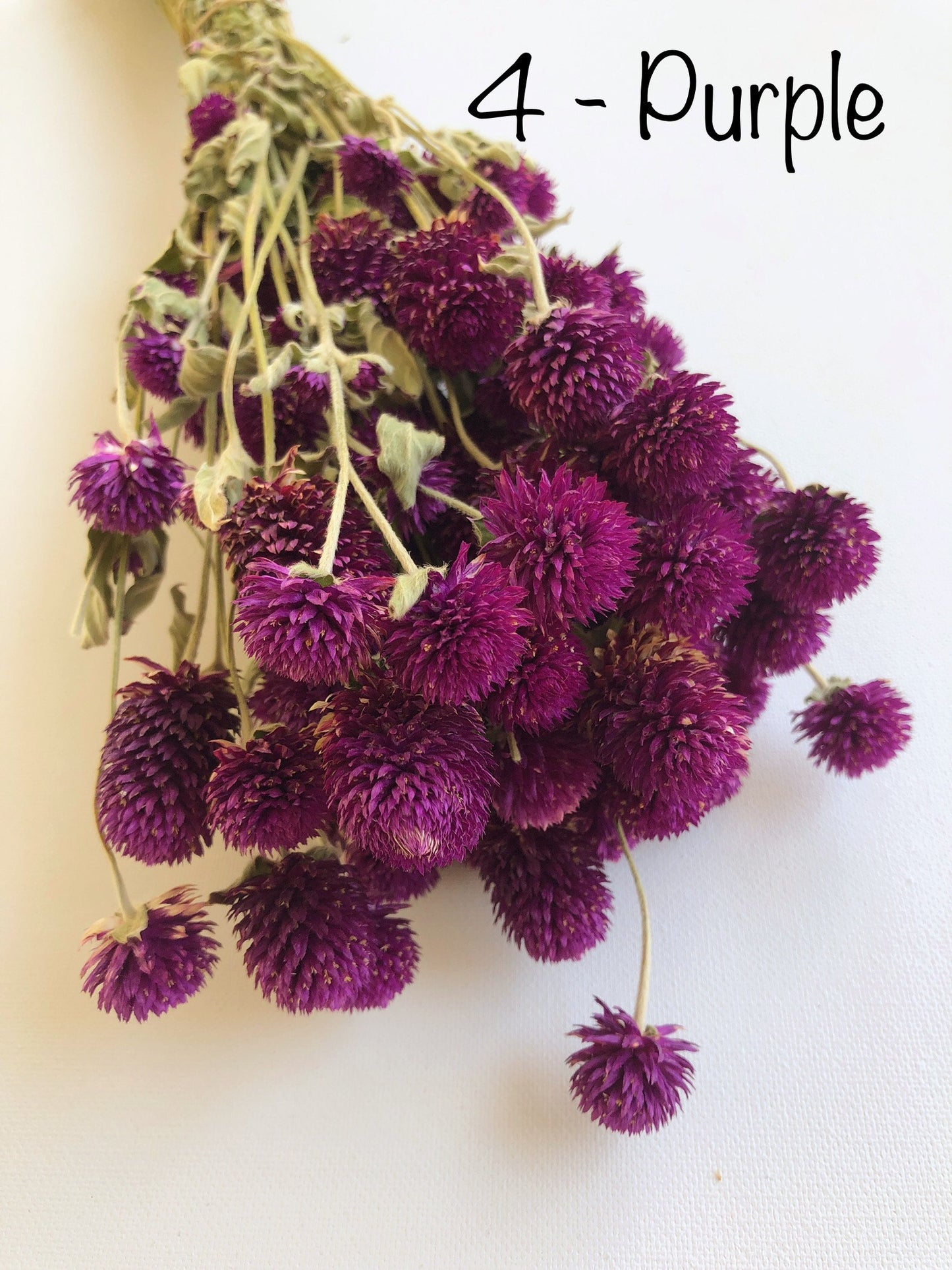 Dried Globe Amaranth (Gomphrena) Flowers β Red, Fuchsia, Rose Pink β Wedding Flowers, Wildflower Arrangements, Dried Floral Bouquets