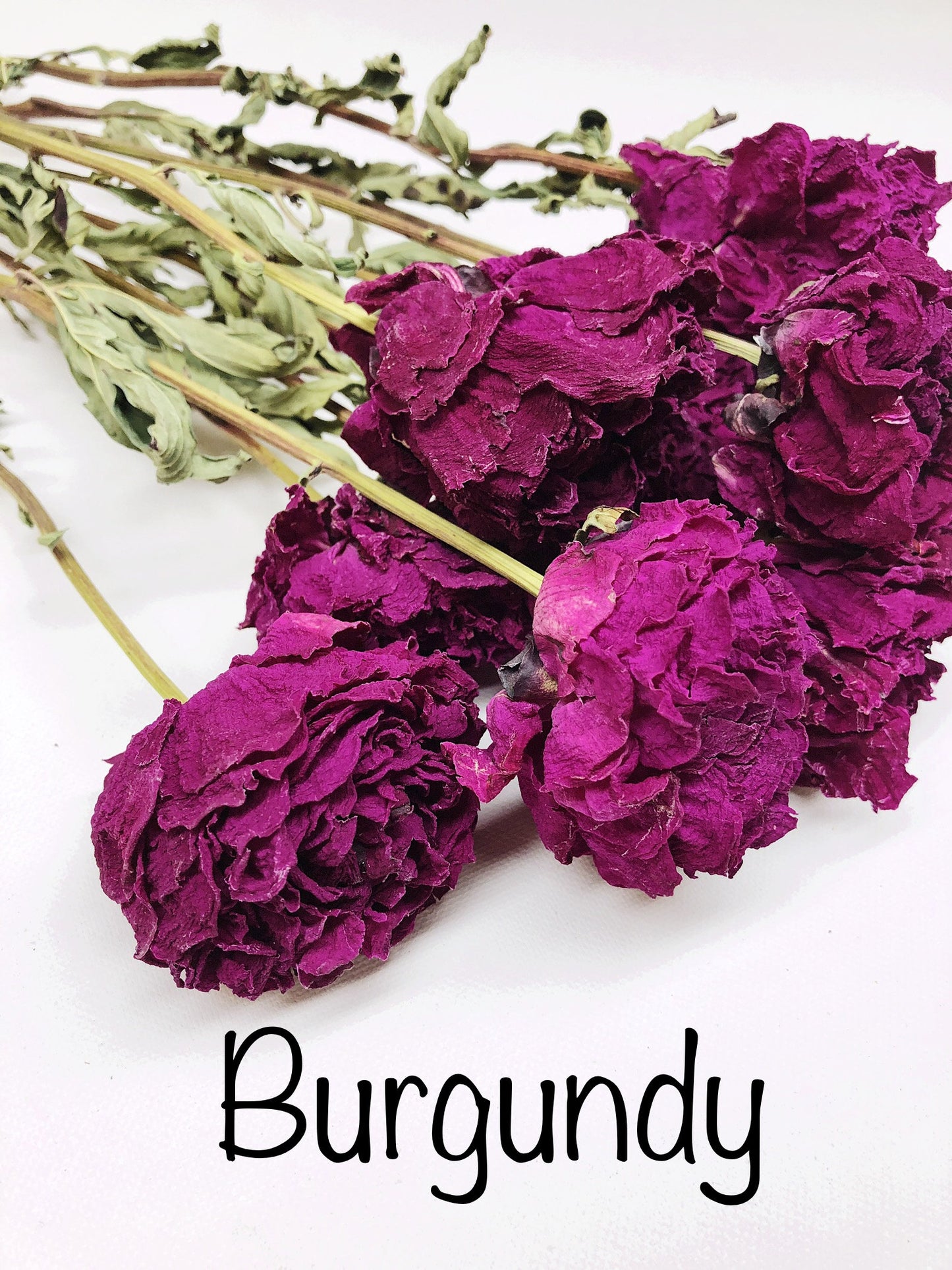 Dried Peony Blooms – Pink, Burgundy, Cream, Beige, Nude – Wedding Bouquets, Bridal Flowers, DIY Décor, Rustic Centerpieces, Home Décor