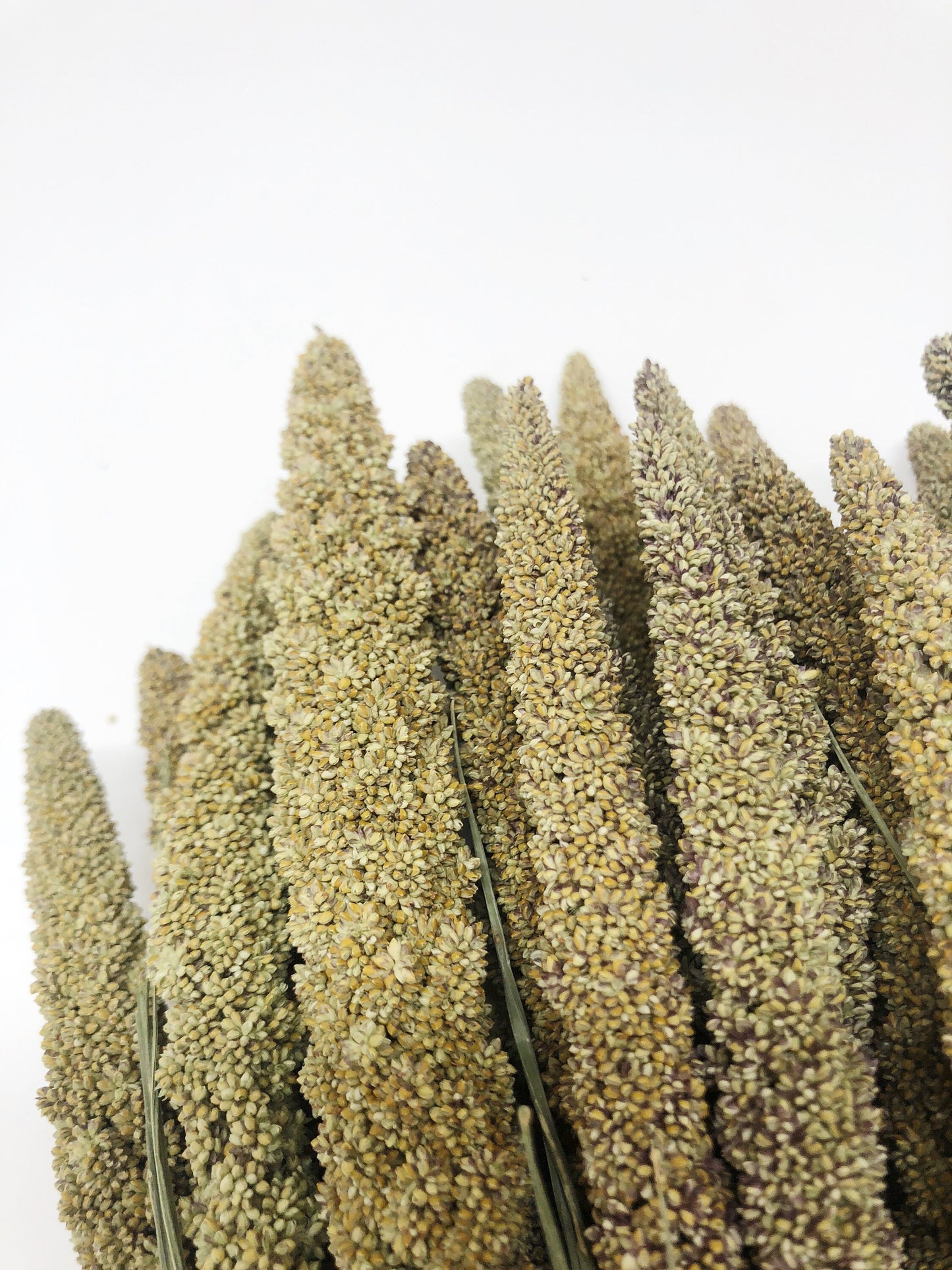 Hilander Grass, Wheat, Preserved Wheat, Preserved Flowers, Wedding Arrangements, Wedding Flowers, House Decoration, Arrangements, Green