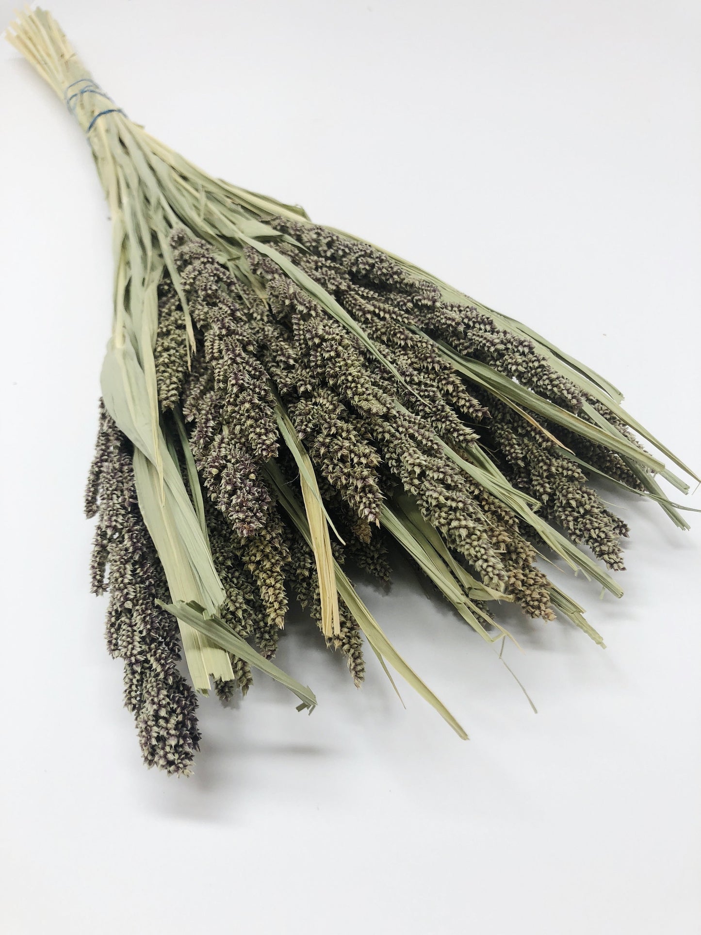 Tapestry Millet, Preserved Wheat, Dried Flowers, Tan, Wedding, House Decoration, Country Style, Wheats and Grass, Arrangements, Preserved