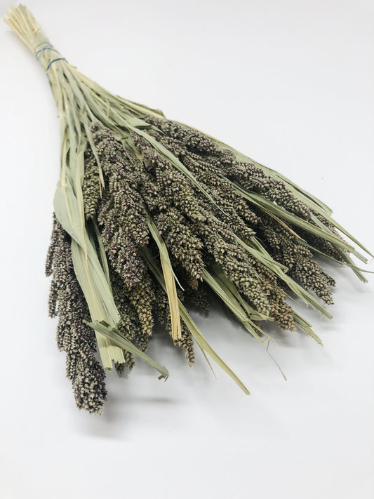 Tapestry Millet, Preserved Wheat, Dried Flowers, Tan, Wedding, House Decoration, Country Style, Wheats and Grass, Arrangements, Preserved