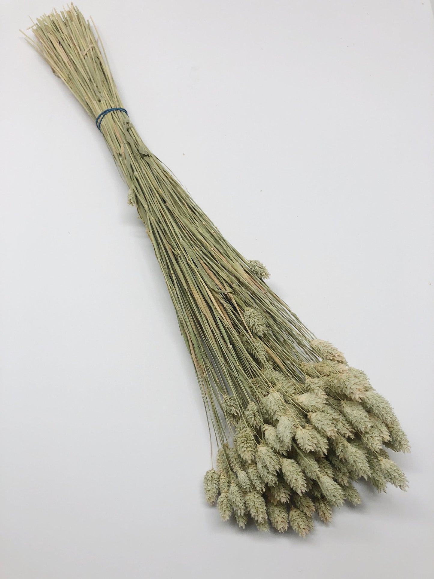 Phalaris, Preserved Wheat, Dried Grass, Wedding Flowers, Floral Arrangement, Filler, Country Style, House Decoration, Wheats and Grass