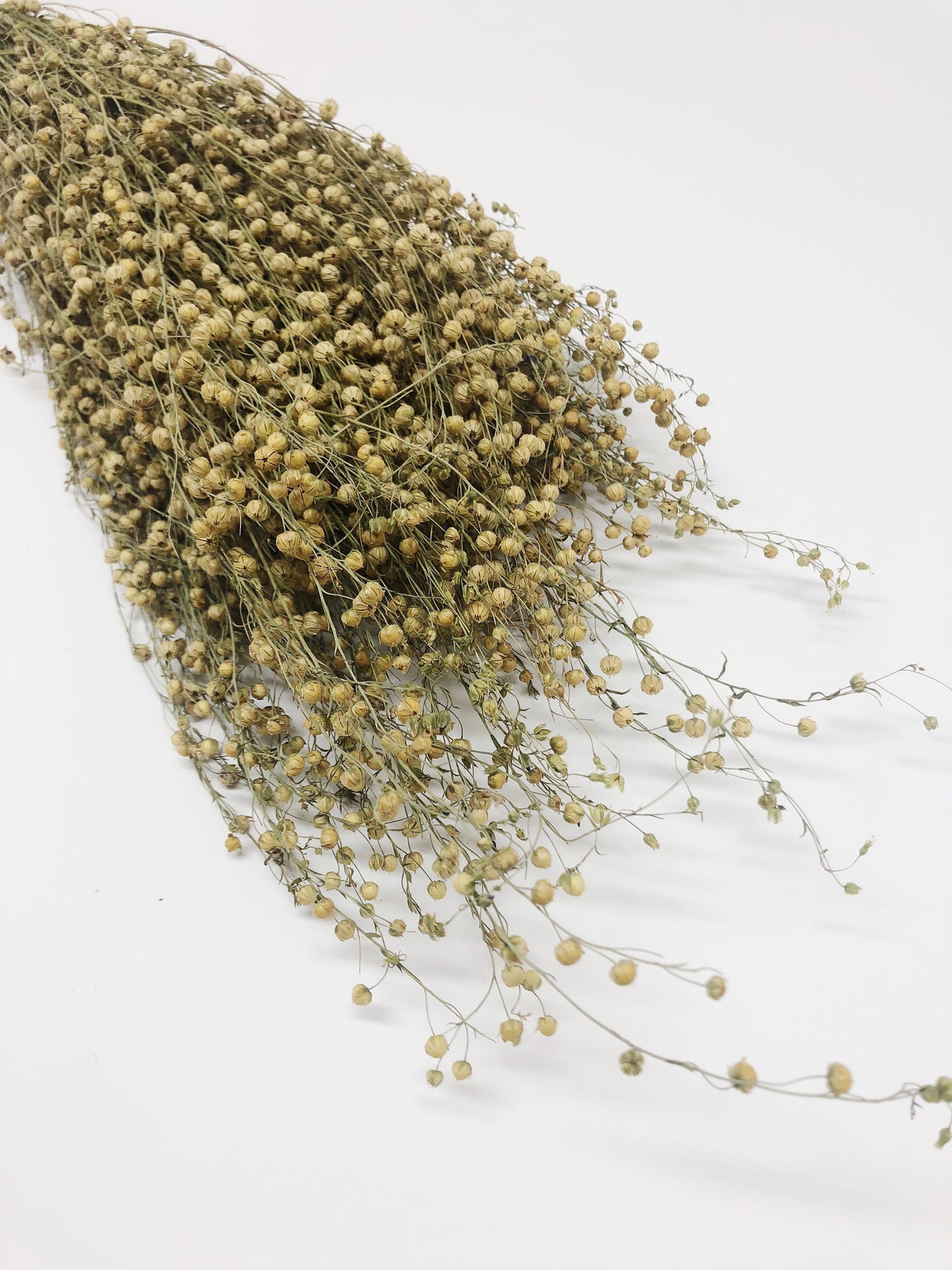 Flax, Dried Wheat, Yellow, Grain, Field, Filler Flowers, Wedding Flowers, Floral Arrangements, Country Style, Round, Wild Flowers