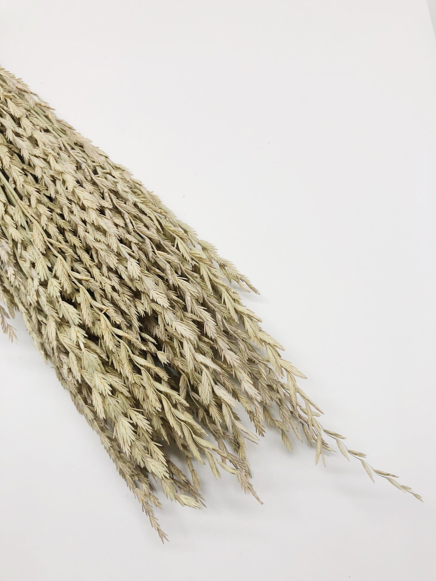 Arrow Grass, Fan, Preserved Wheat, Dried Flowers, Wheat, Tan, Yellow, Wedding Bouquet, Filler Flower, Floral Arrangement, House Decor