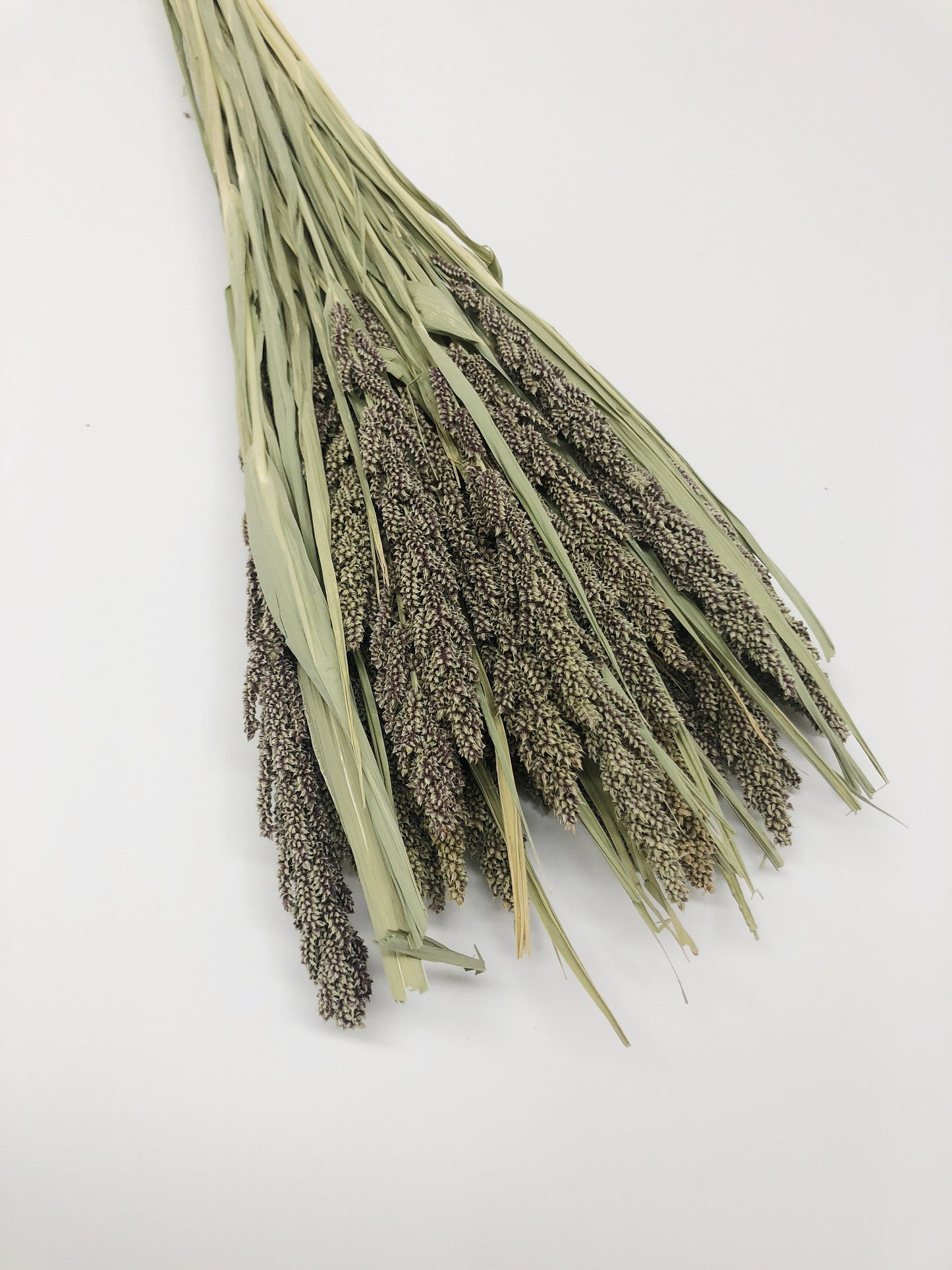 Tapestry Millet, Preserved Wheat, Dried Flowers, Tan, Wedding, House Decoration, Country Style, Wheats and Grass, Arrangements, Preserved