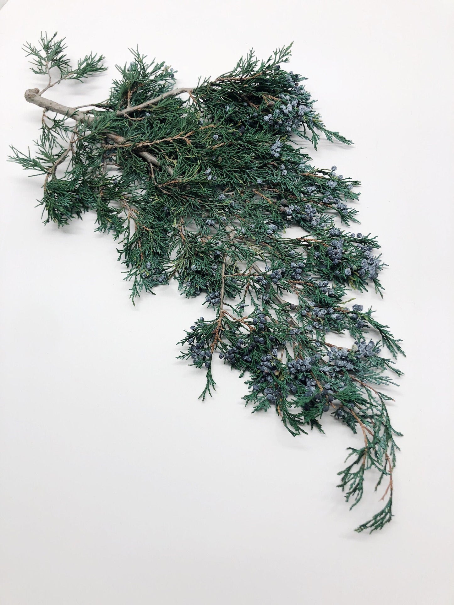 Juniper, Winter Greenery, Christmas Leaves, Winter, Fern, Preserved Flowers, Preserved Greenery, Dried green, Flowers, Seeds, Frost, Winter