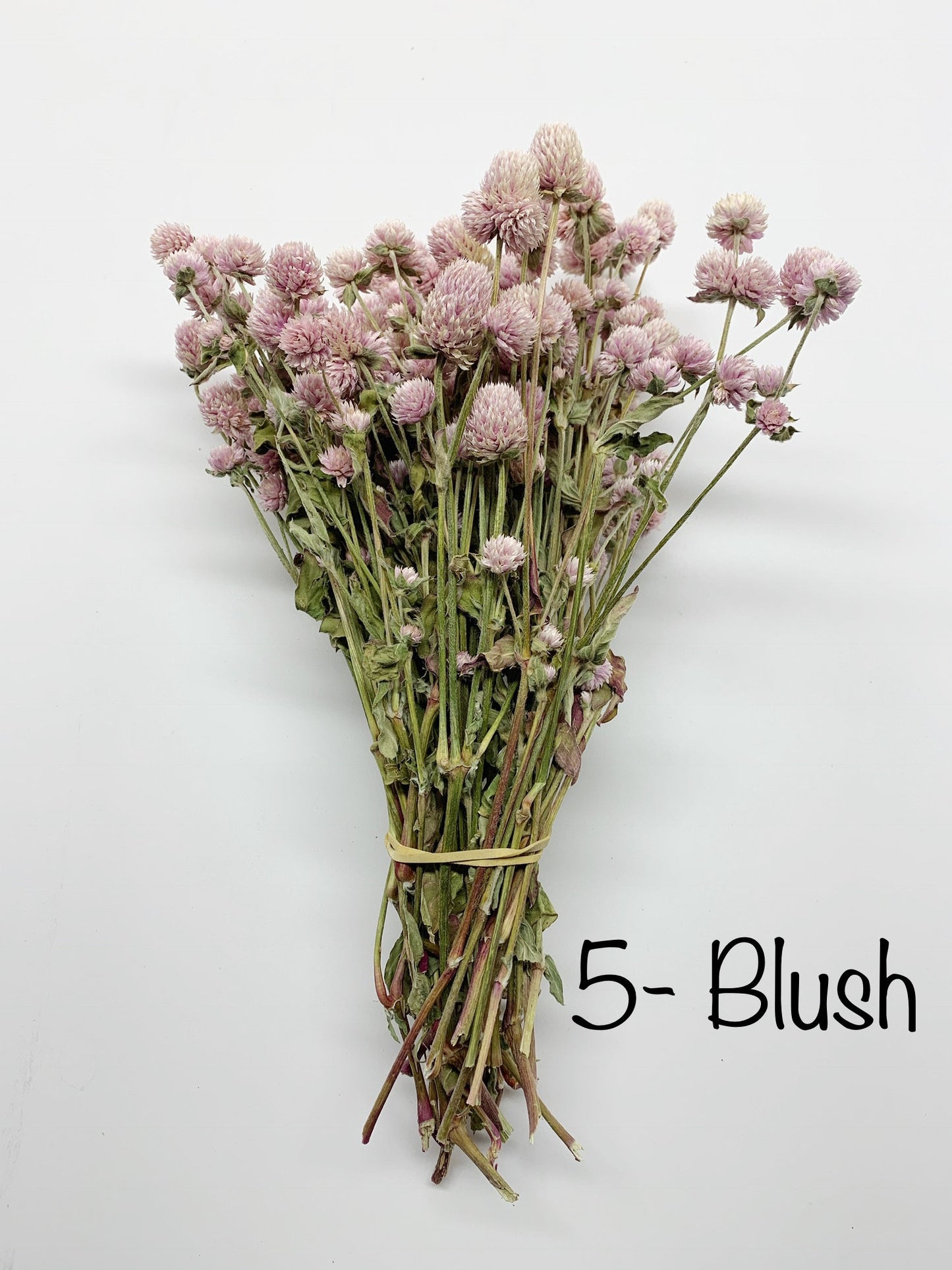 Dried Globe Amaranth (Gomphrena) Flowers β Red, Fuchsia, Rose Pink β Wedding Flowers, Wildflower Arrangements, Dried Floral Bouquets