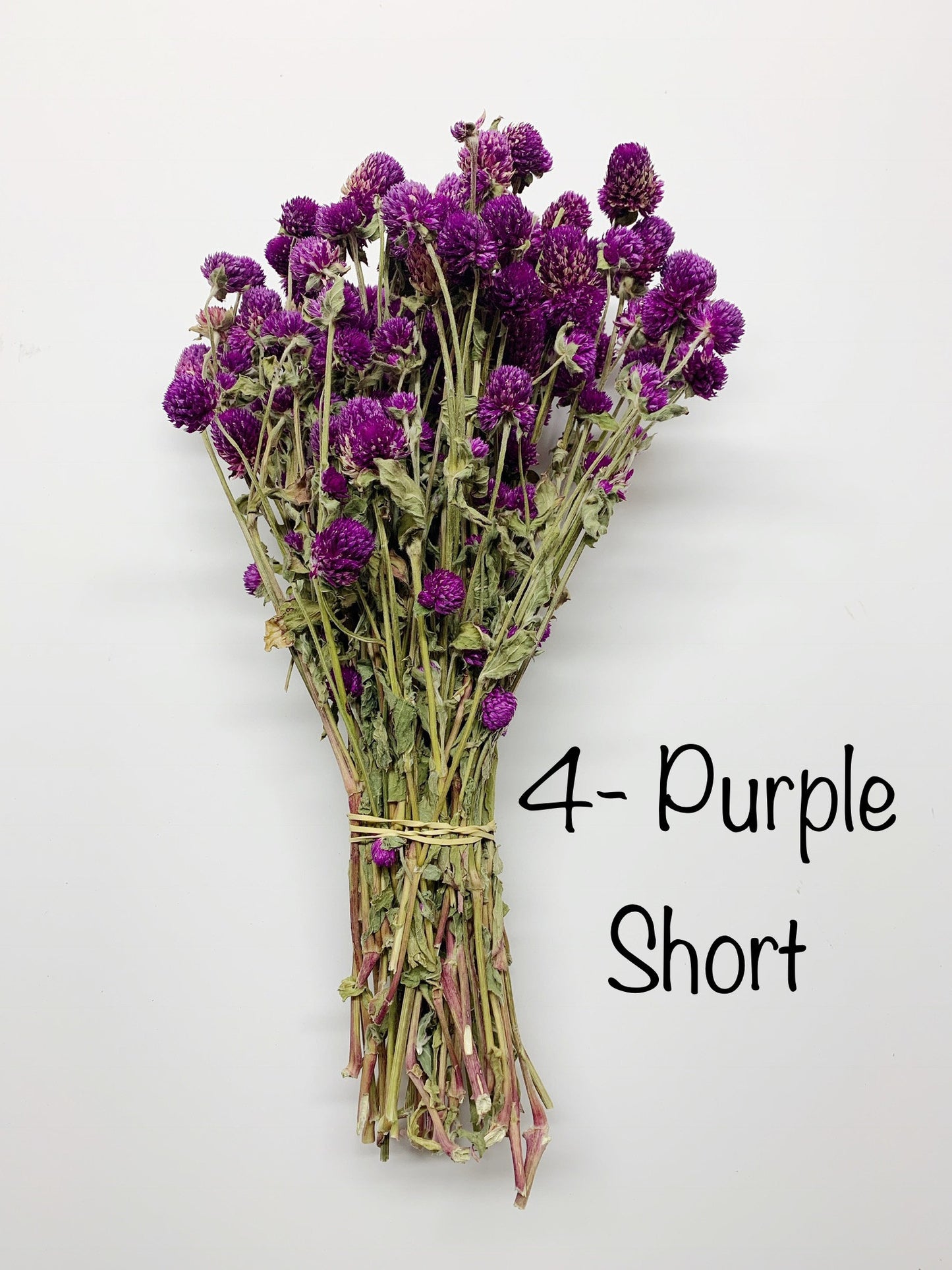Dried Globe Amaranth (Gomphrena) Flowers β Red, Fuchsia, Rose Pink β Wedding Flowers, Wildflower Arrangements, Dried Floral Bouquets