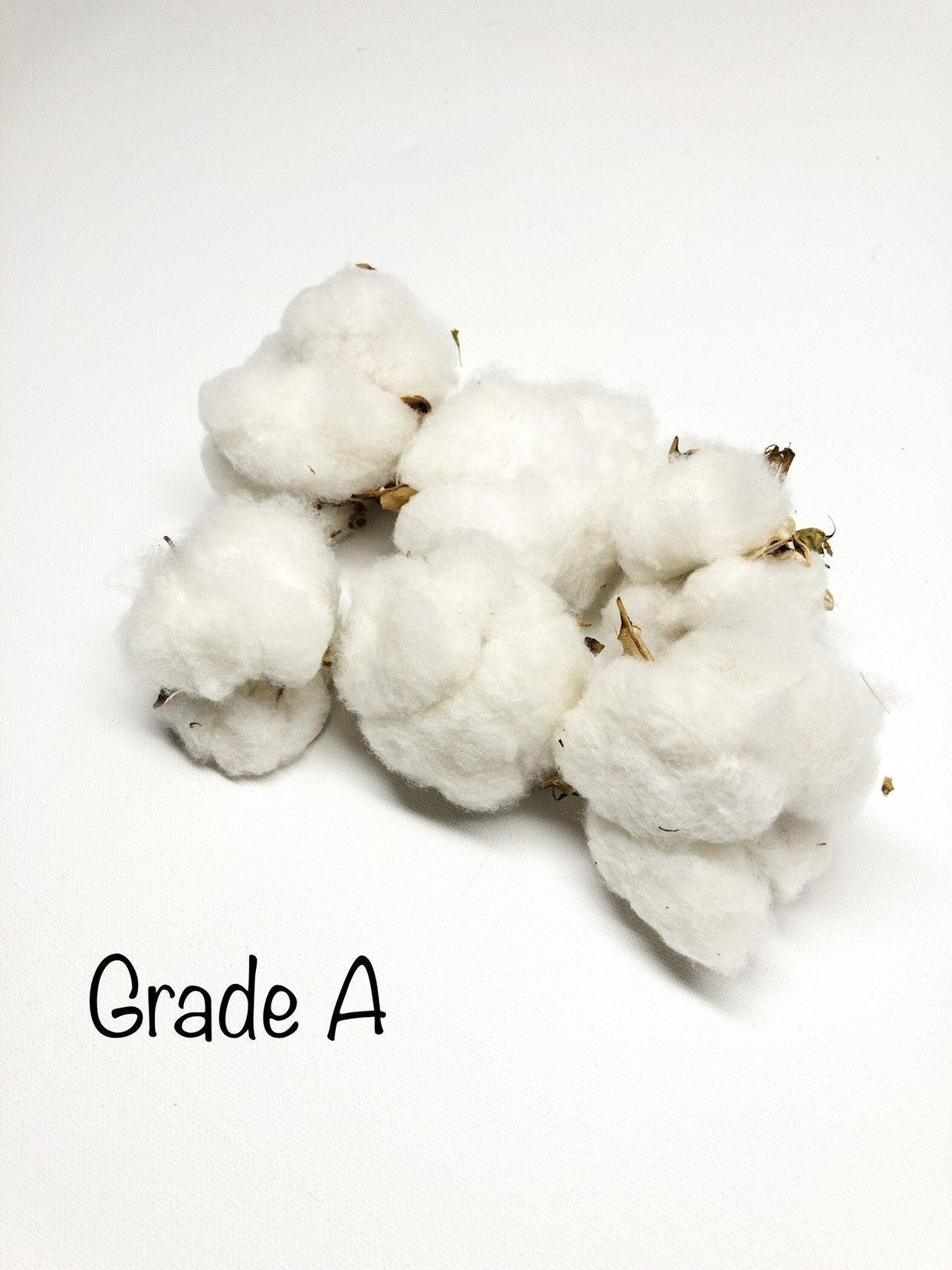 6 Cotton Heads, Natural, Dried, Wreath DIY, White Flower, Photography Props, Balls, Cotton Branch, Fall, Favors,