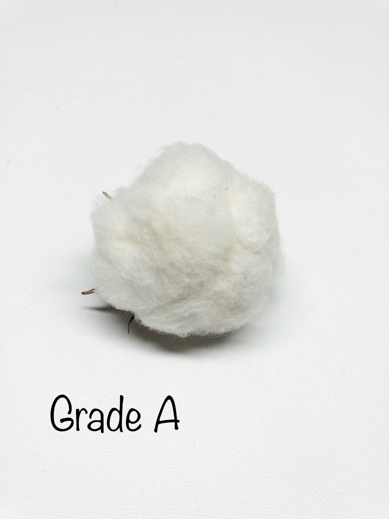 6 Cotton Heads, Natural, Dried, Wreath DIY, White Flower, Photography Props, Balls, Cotton Branch, Fall, Favors,