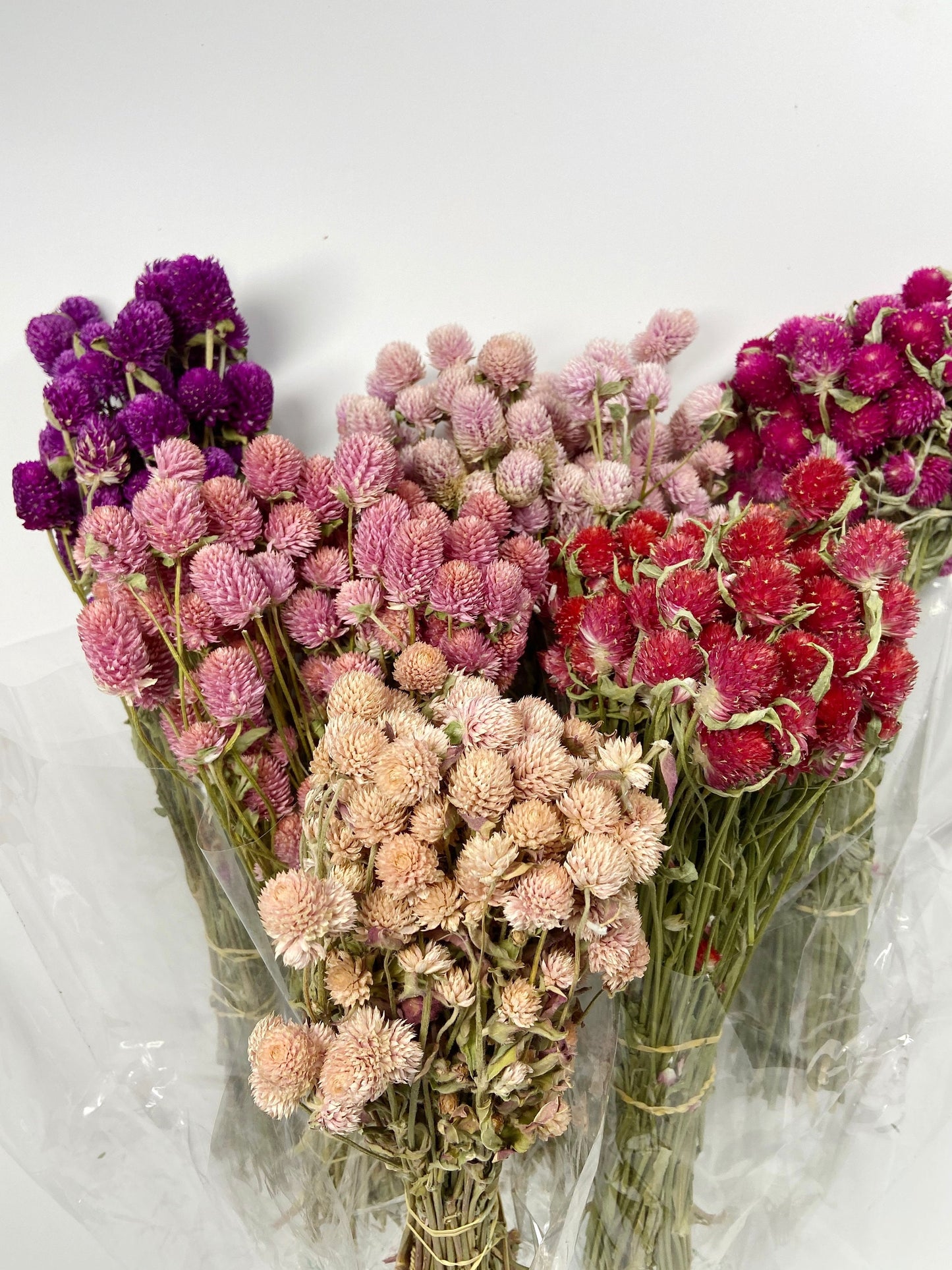 Dried Globe Amaranth (Gomphrena) Flowers β Red, Fuchsia, Rose Pink β Wedding Flowers, Wildflower Arrangements, Dried Floral Bouquets