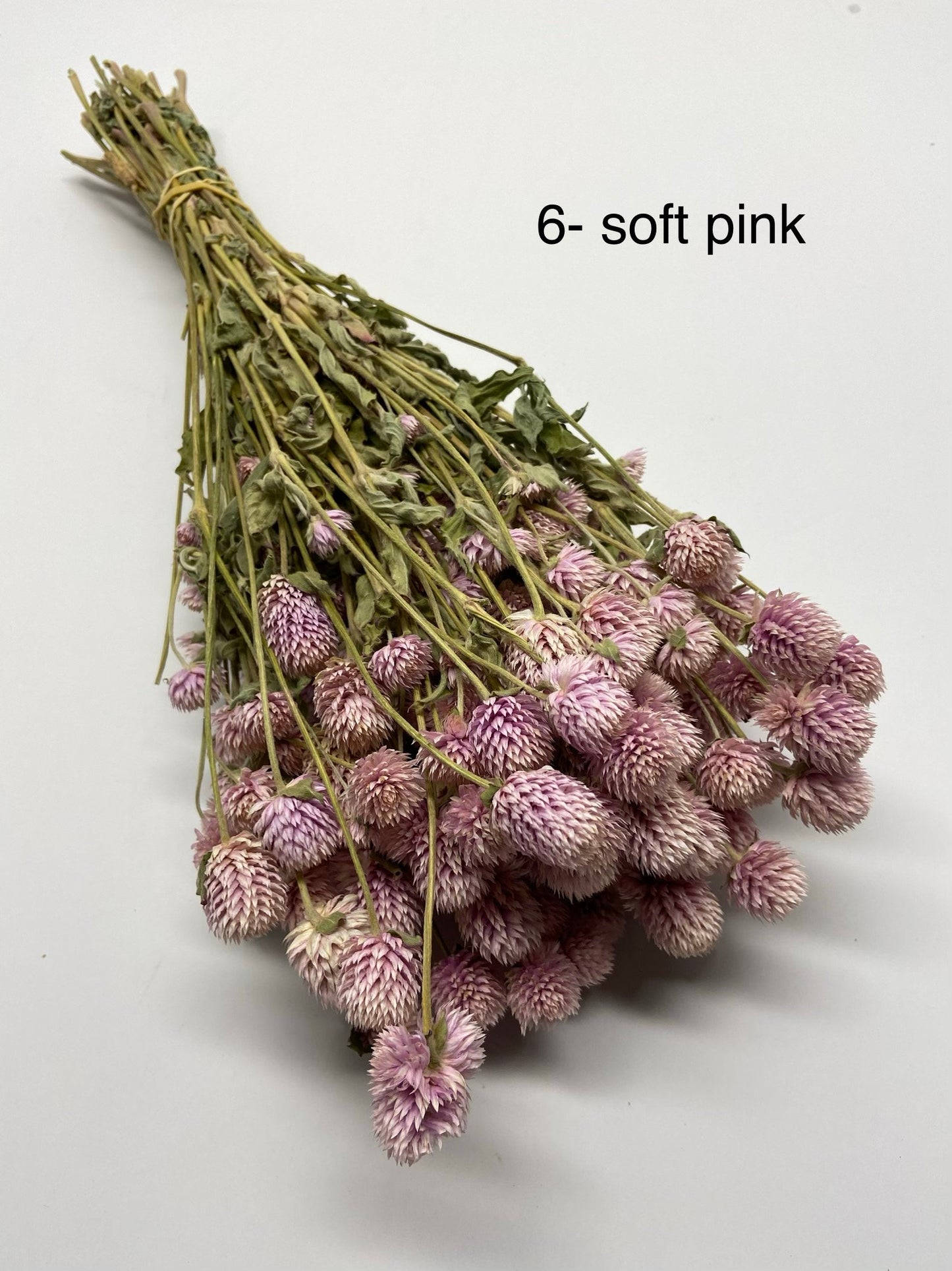 Dried Globe Amaranth (Gomphrena) Flowers β Red, Fuchsia, Rose Pink β Wedding Flowers, Wildflower Arrangements, Dried Floral Bouquets