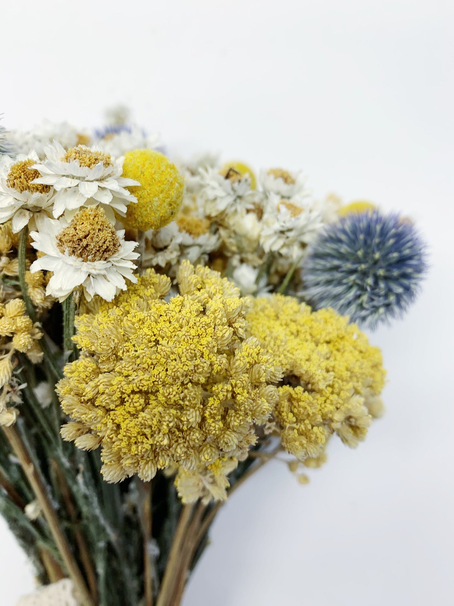Summer Collection, Bouquet, Dried Flowers, Preserved, Bridal, Wedding, Floral, Colorful, Bridesmaid, Yellow yarrow, blue, globe thisle
