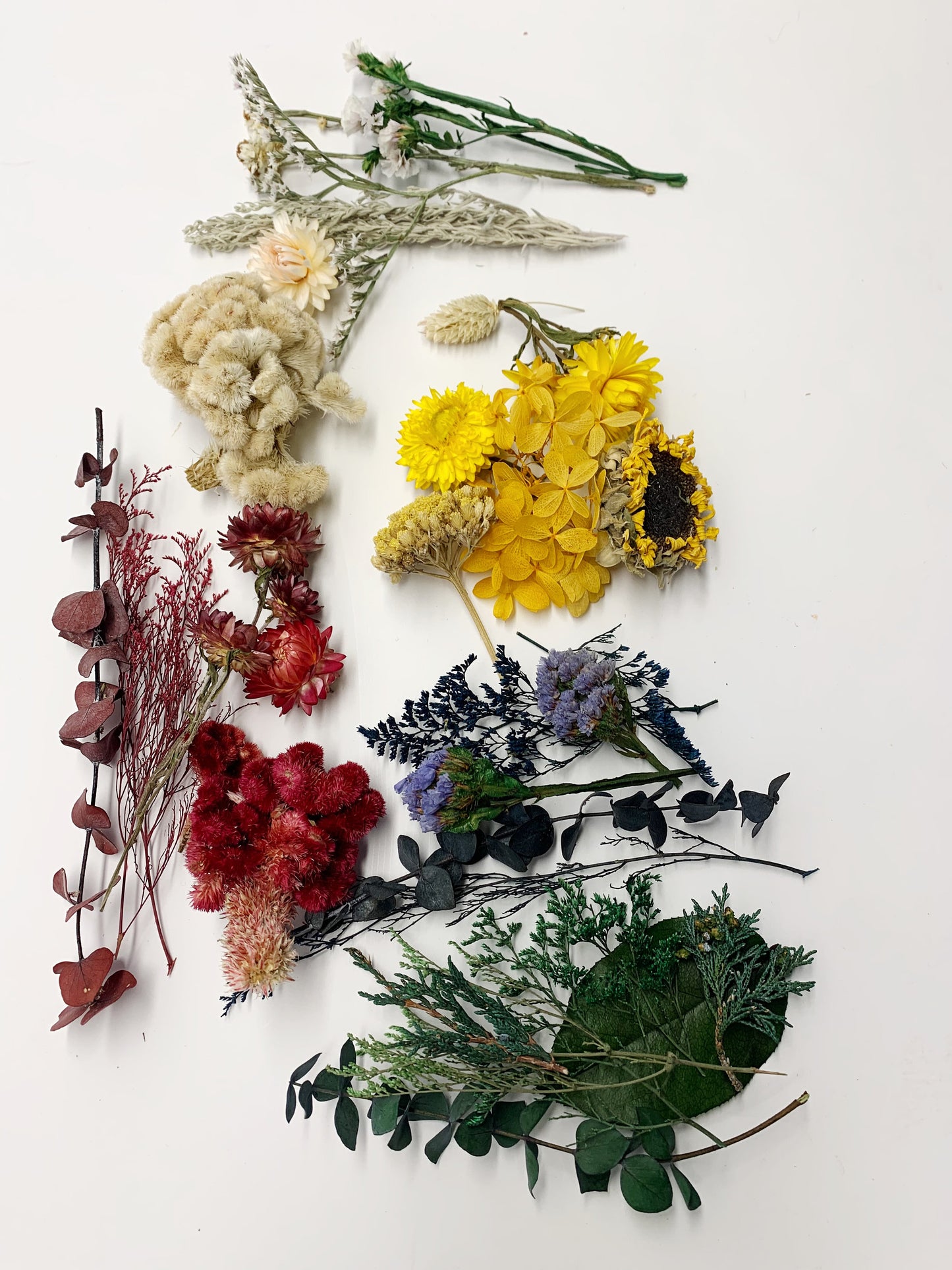 DIY Wreath Kit, Project, Dried Flowers, Mothers Day, Preserved Floral, Arts and Crafts, Grapevine, House decor, Spring, Gift Idea, Christmas