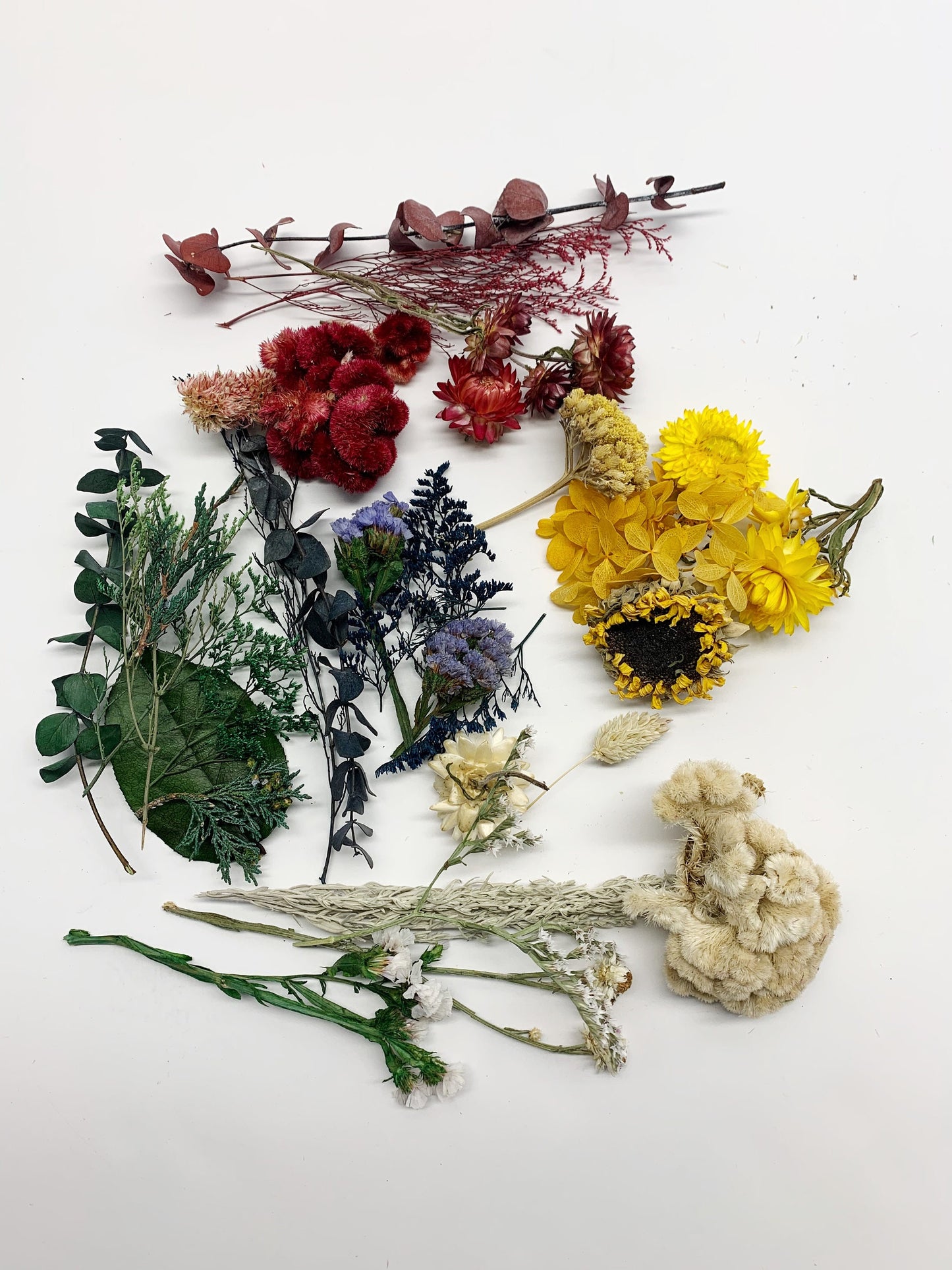 DIY Wreath Kit, Christmas Project, Dried Flowers, Mothers Day gift, Arts and Crafts, Embroidery Hoop, Colorful Decoration, Burlap, Gift