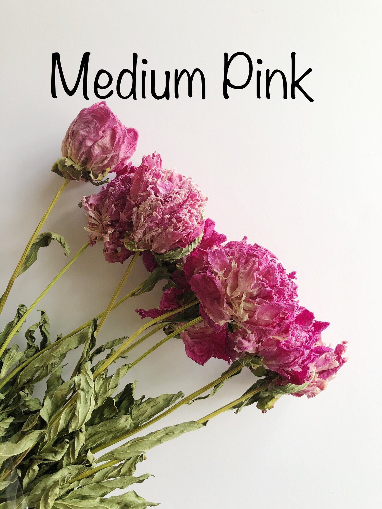 Dried Peony Blooms – Pink, Burgundy, Cream, Beige, Nude – Wedding Bouquets, Bridal Flowers, DIY Décor, Rustic Centerpieces, Home Décor