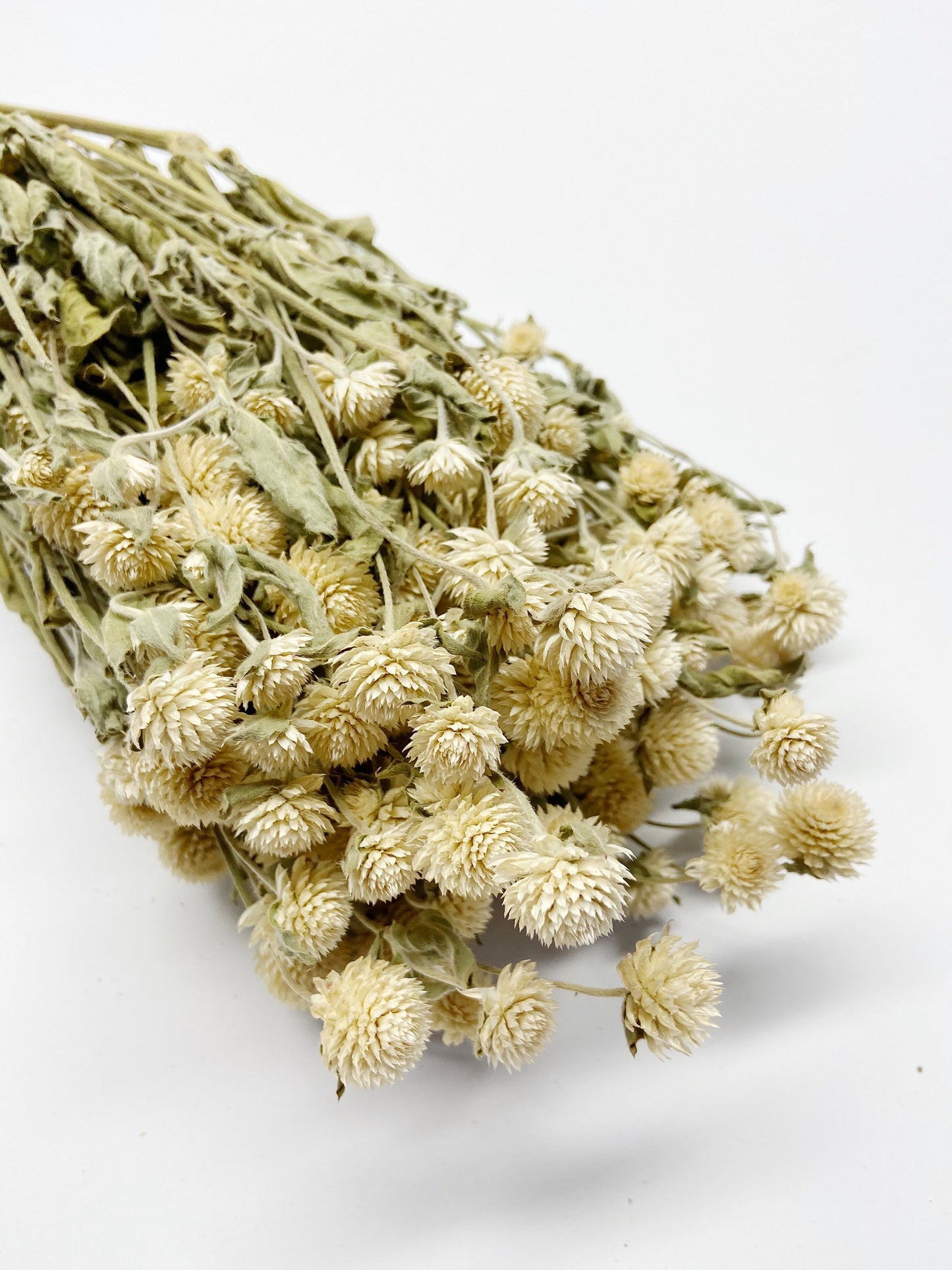 Dried Globe Amaranth (Gomphrena) Flowers β Red, Fuchsia, Rose Pink β Wedding Flowers, Wildflower Arrangements, Dried Floral Bouquets