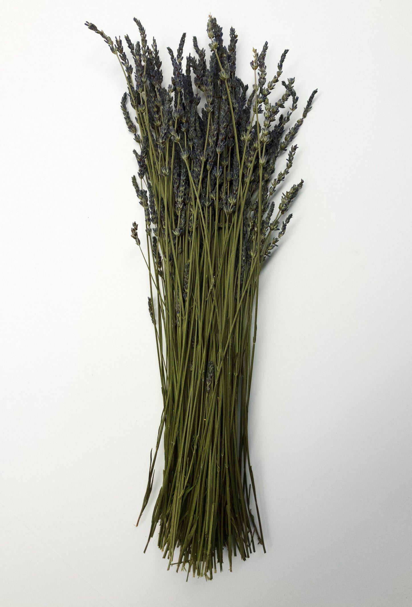 French Lavender, Preserved Flowers, Dried Flower, Lavender, Long Stems, Dried Lavender, Bundles, Wedding, Home Decor, Floral, Flowers