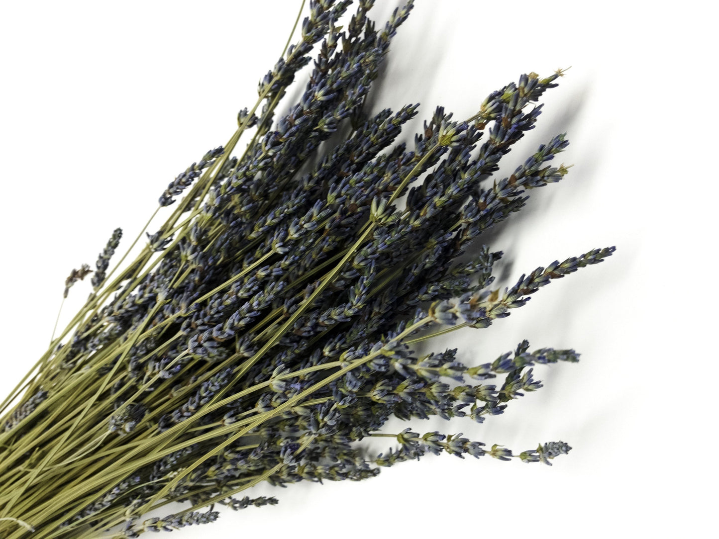 French Lavender, Preserved Flowers, Dried Flower, Lavender, Long Stems, Dried Lavender, Bundles, Wedding, Home Decor, Floral, Flowers