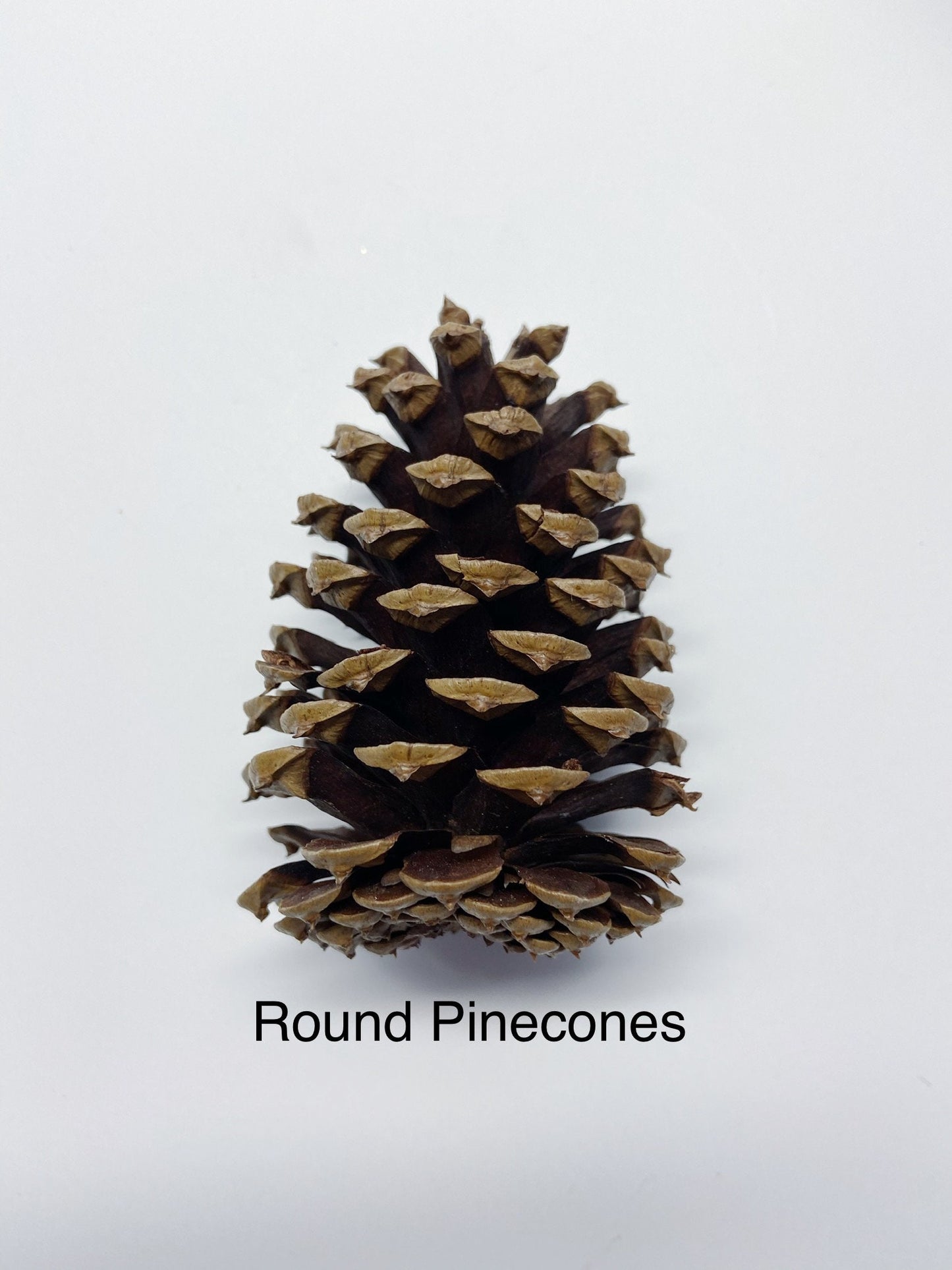 5 pinecones, natural pinecones, real, Christmas decoration, winter, artandcraft, home decor, real pinecones, round pinecones, tall pinecones