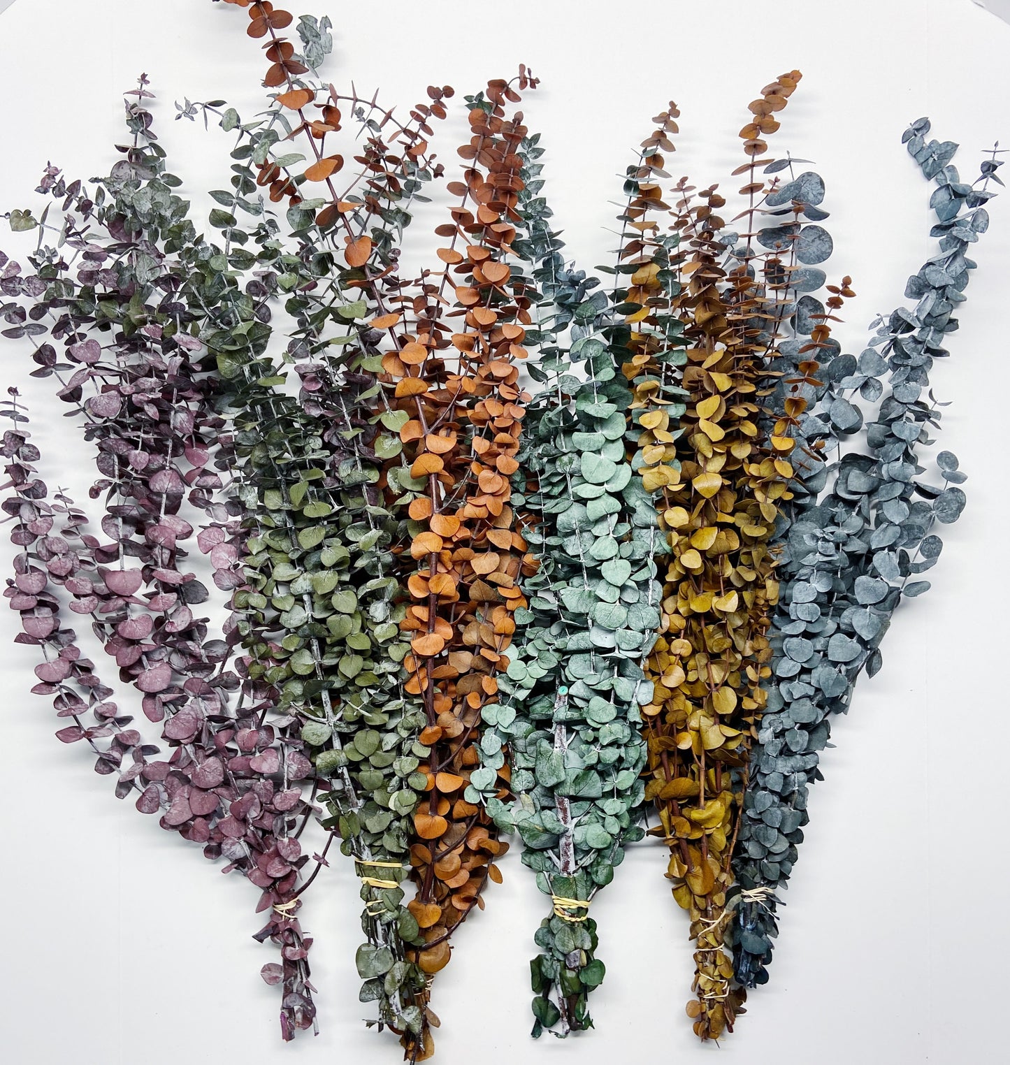 Preserved Eucalyptus, Frosted Green, Orange, Tan, Frosted Olive, Blue, Floral Bunch, Flowers, Wedding, Crafts Dried Bouquet