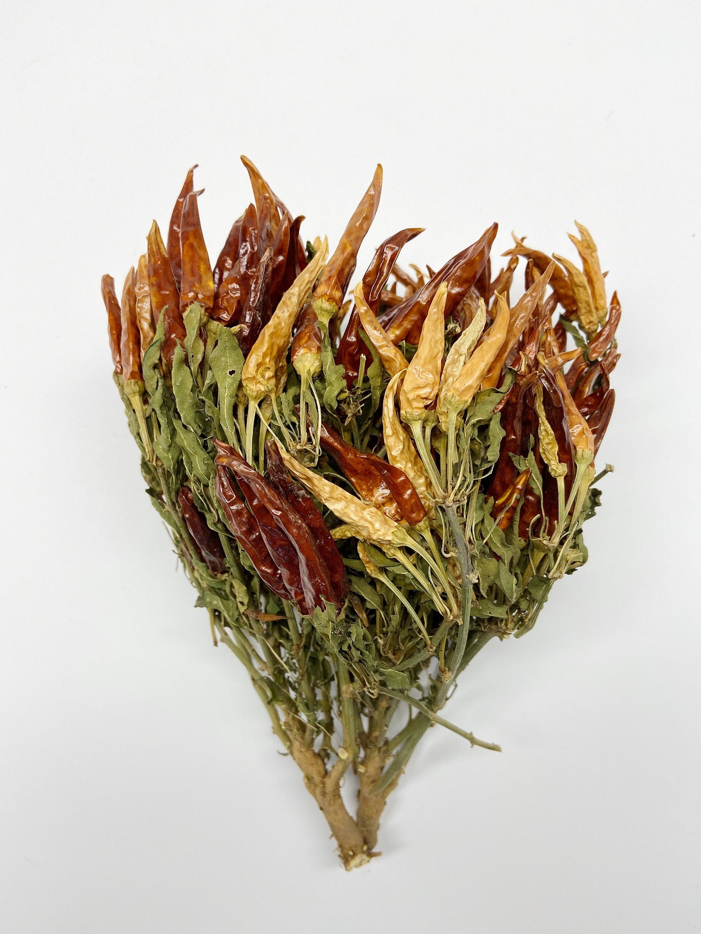 Dried Chili Peppers, ORANGE, Dried Flowers, Preserved Floral, Dry Herbs, Wedding, Farm, Home Decor, Rustic, Country, Wildflowers Bouquet