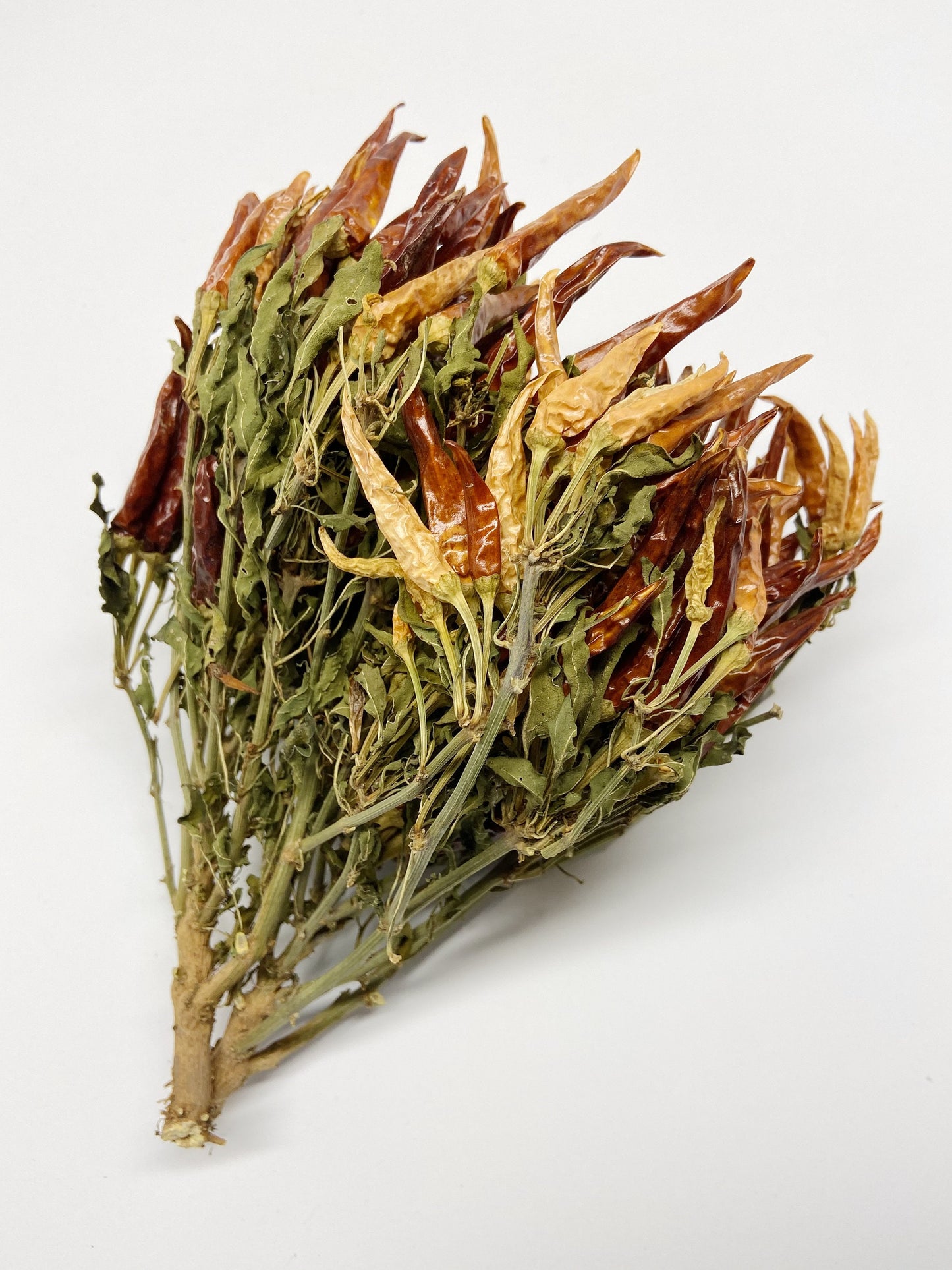 Dried Chili Peppers, ORANGE, Dried Flowers, Preserved Floral, Dry Herbs, Wedding, Farm, Home Decor, Rustic, Country, Wildflowers Bouquet