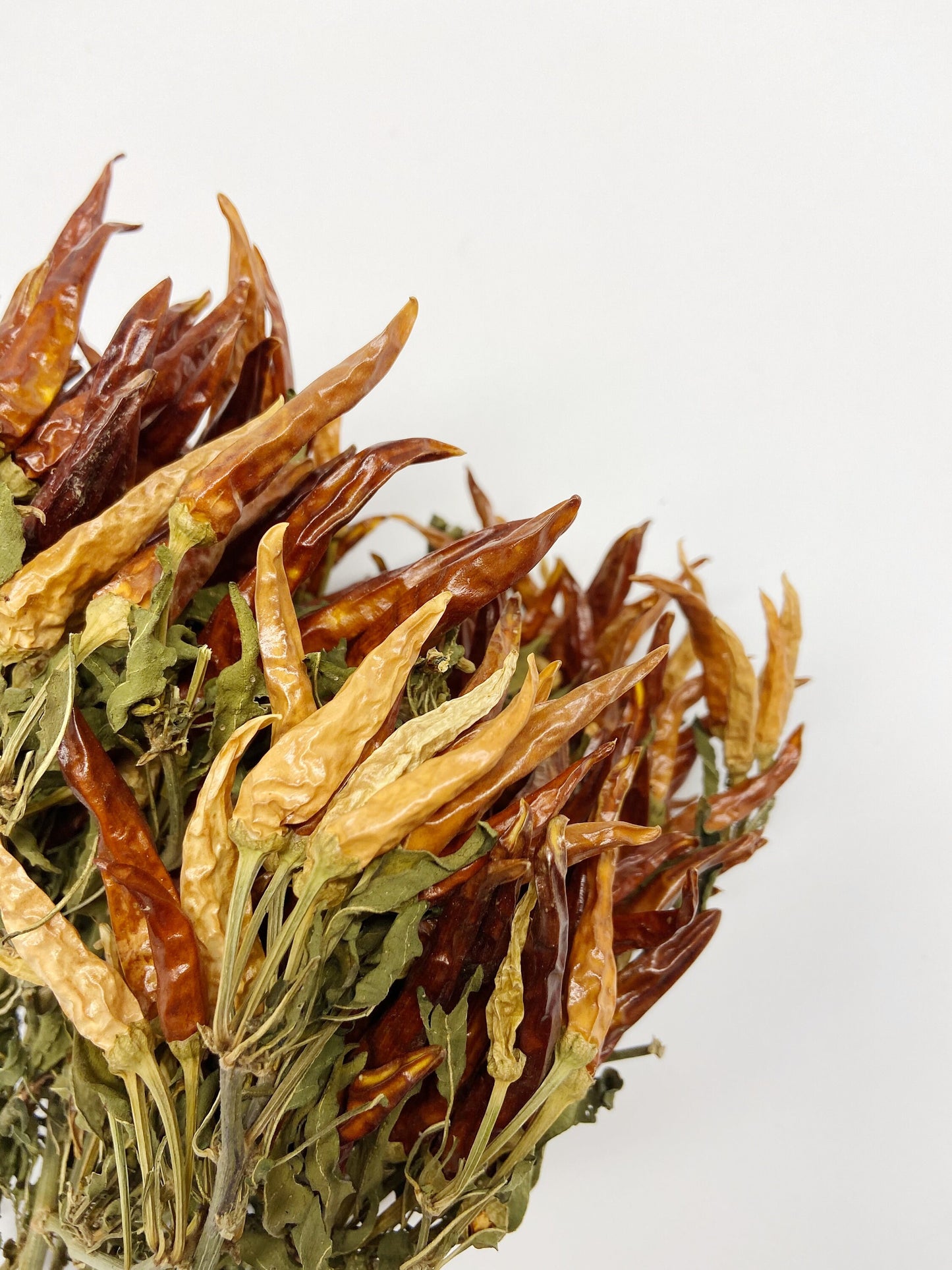 Dried Chili Peppers, ORANGE, Dried Flowers, Preserved Floral, Dry Herbs, Wedding, Farm, Home Decor, Rustic, Country, Wildflowers Bouquet