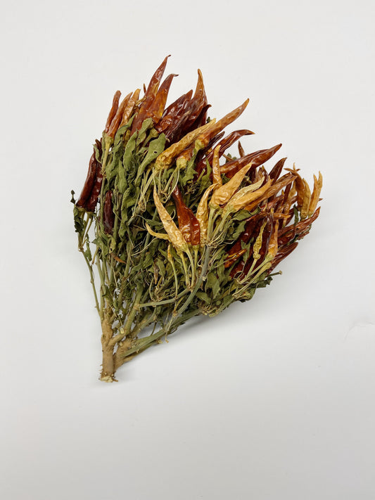 Dried Chili Peppers, ORANGE, Dried Flowers, Preserved Floral, Dry Herbs, Wedding, Farm, Home Decor, Rustic, Country, Wildflowers Bouquet