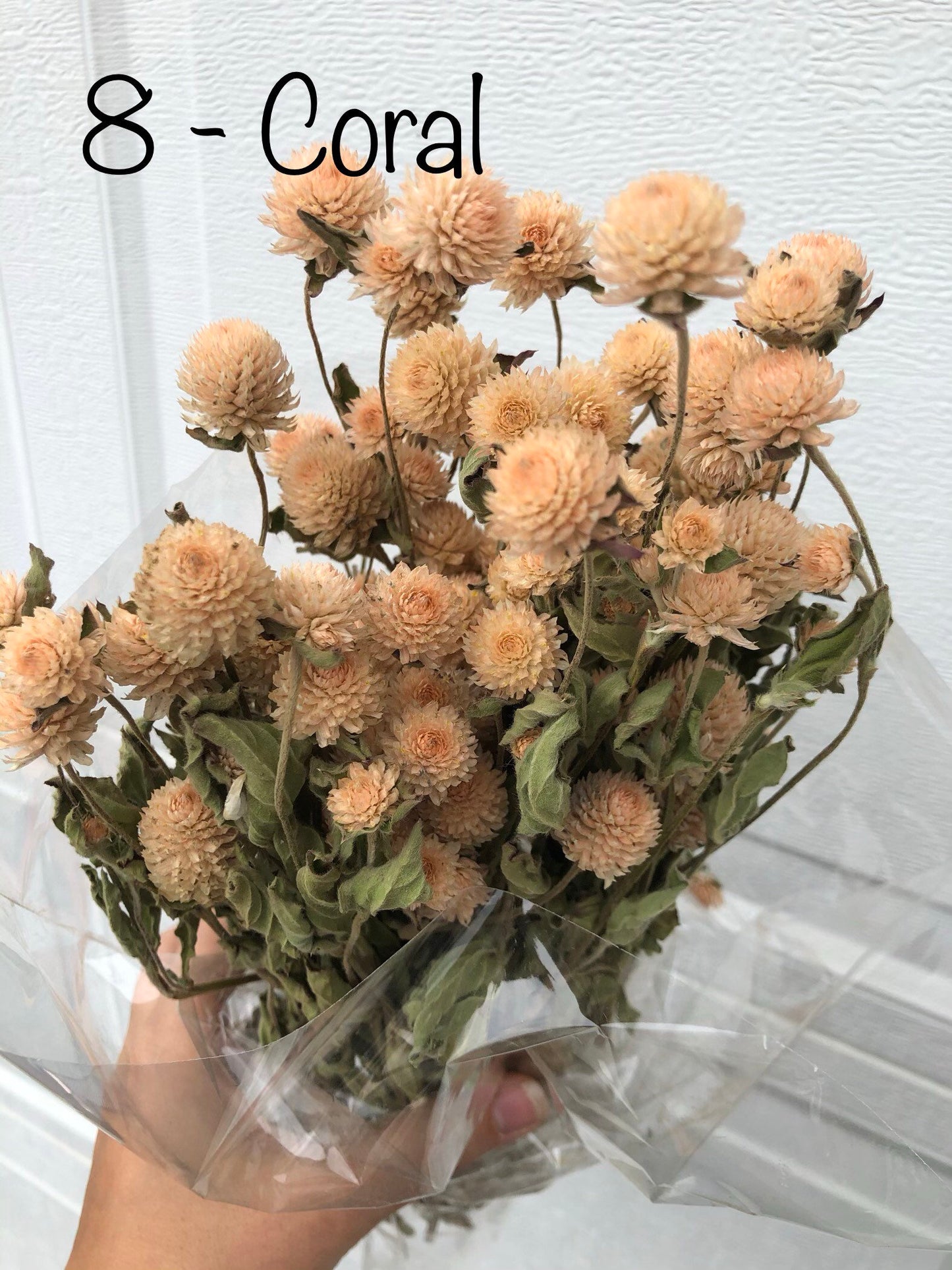 Dried Globe Amaranth (Gomphrena) Flowers β Red, Fuchsia, Rose Pink β Wedding Flowers, Wildflower Arrangements, Dried Floral Bouquets