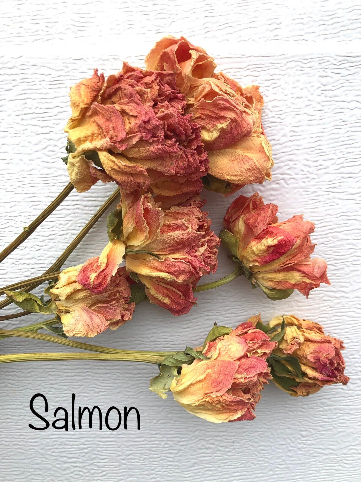 Dried Peony Blooms – Pink, Burgundy, Cream, Beige, Nude – Wedding Bouquets, Bridal Flowers, DIY Décor, Rustic Centerpieces, Home Décor