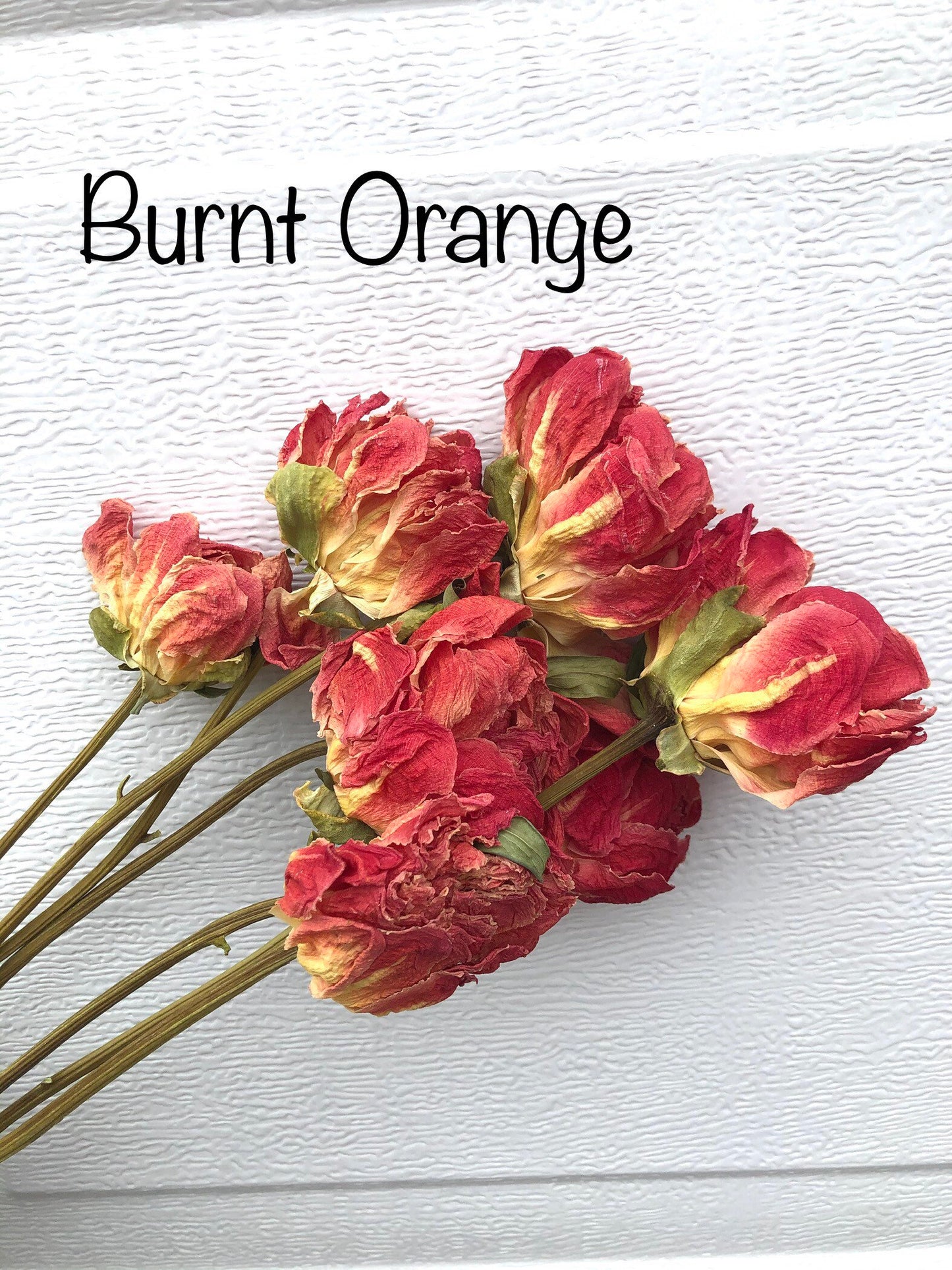 Dried Peony Blooms – Pink, Burgundy, Cream, Beige, Nude – Wedding Bouquets, Bridal Flowers, DIY Décor, Rustic Centerpieces, Home Décor