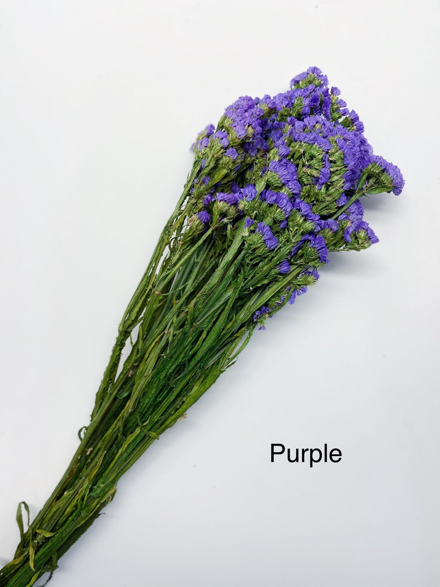 Sinuata Statice, Limonium Sinuatum, Pink, Rose, Blue Statice, Blue, White, Dried, Preserved Flowers Real Flowers Wedding Flowers Bouquet