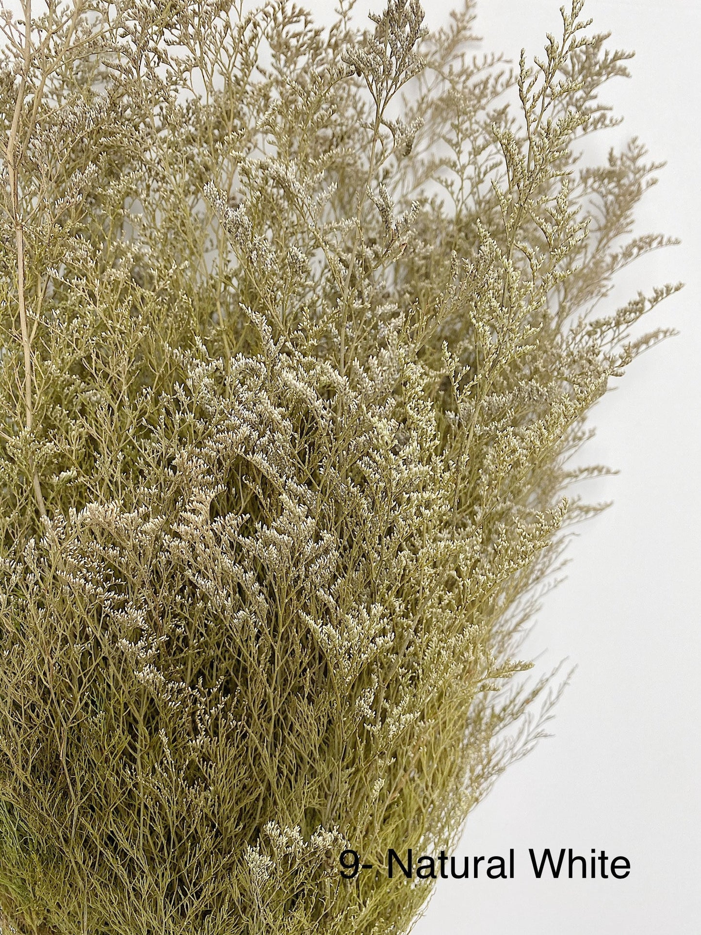 Caspia, Dried Flowers, Preserved Flowers, Wedding Flowers, Filler Flowers, House Decoration, Home Decor, Flowers, Bouquets, Arrangement
