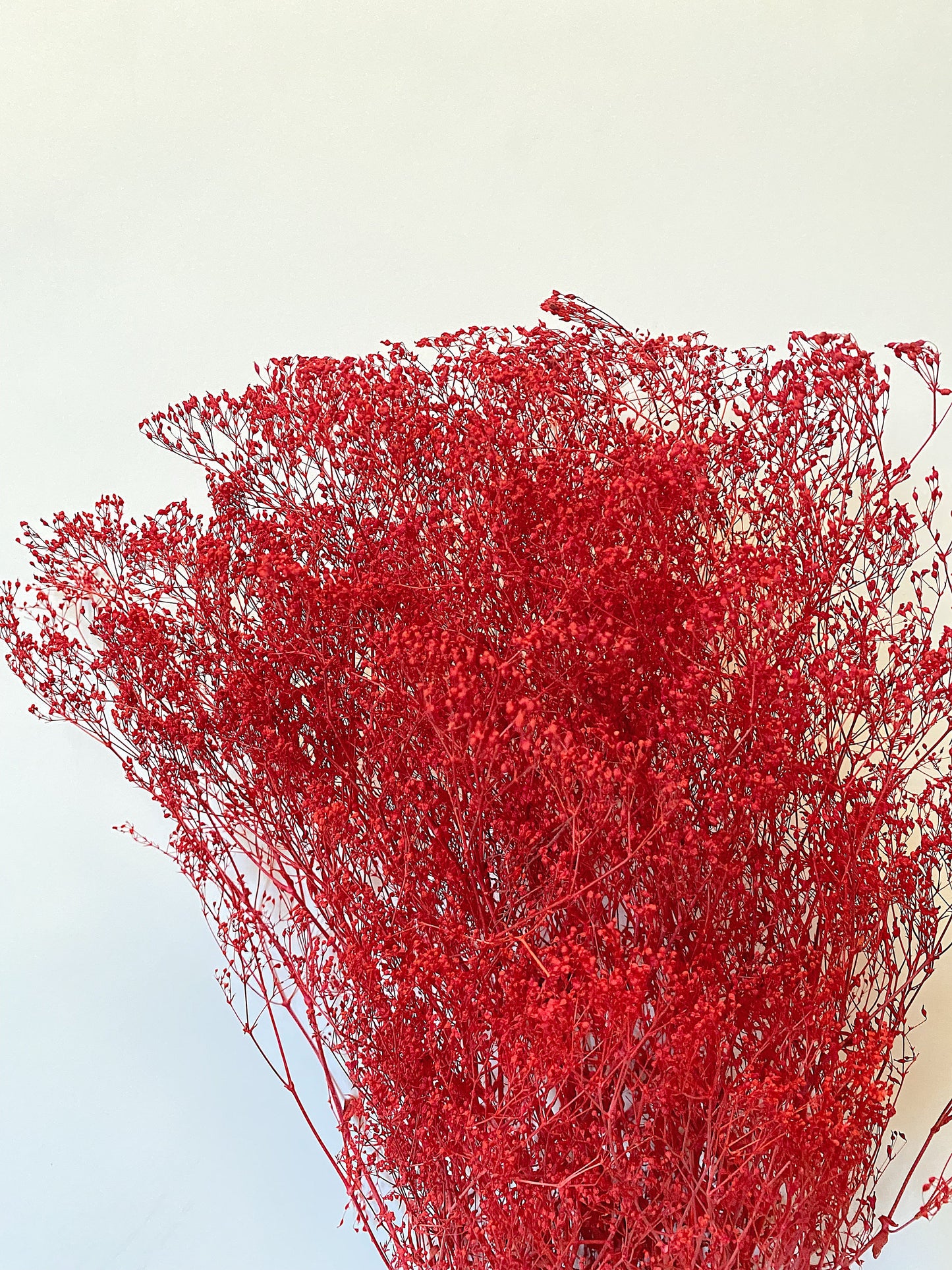 Mini Gyp, Filler Flowers, Preserved Flowers, Flowers, Red, Tan, Orange, Dried Flowers, Home Decor, Decoration, Wedding Bouquet, Baby Breath