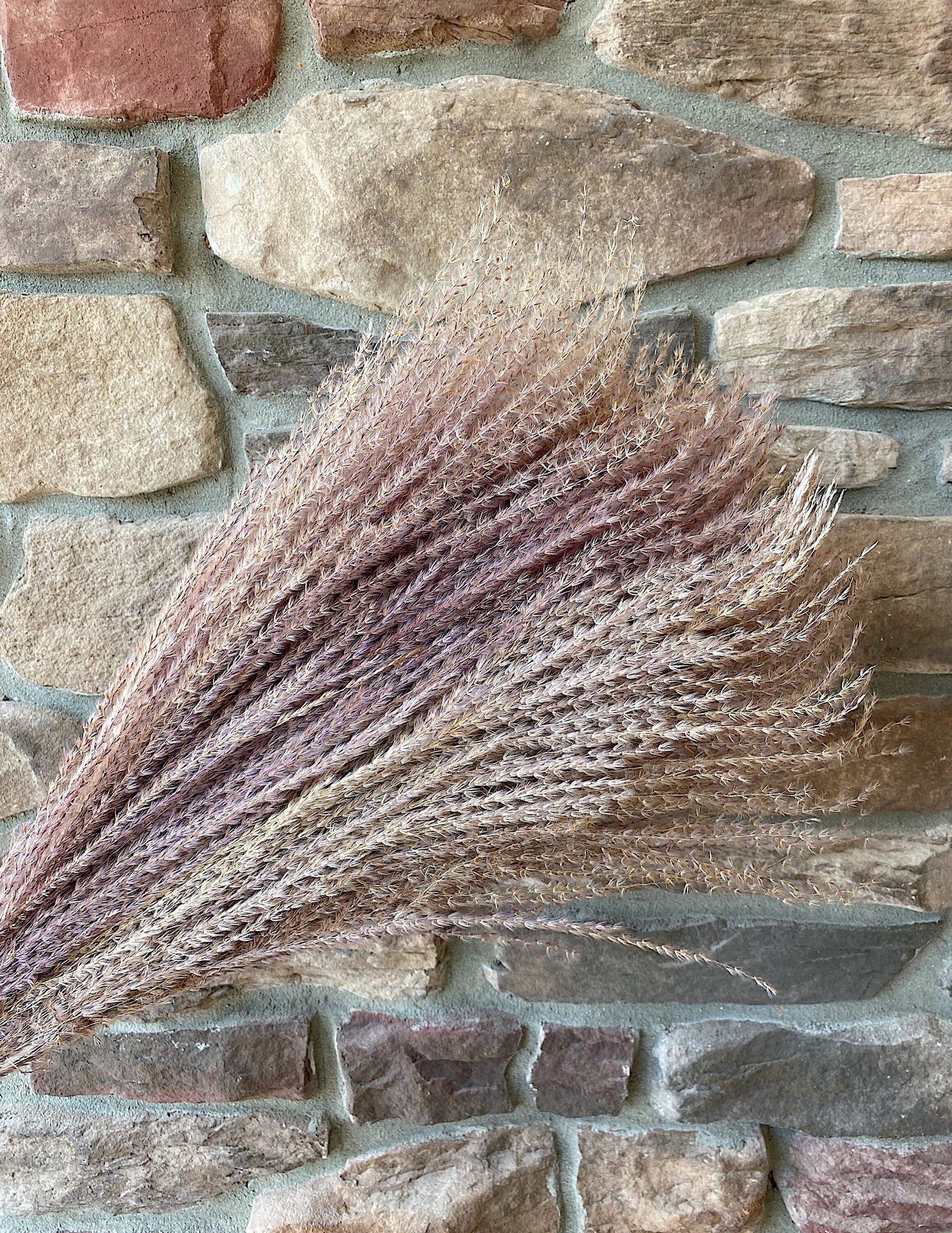 Pampas Grass Horsetail Whisk, Preserved Flowers, House Decor, Wedding, Pampas, Fluffy, Natural, Fall, Feather, Wheats and Grass, Short, Long