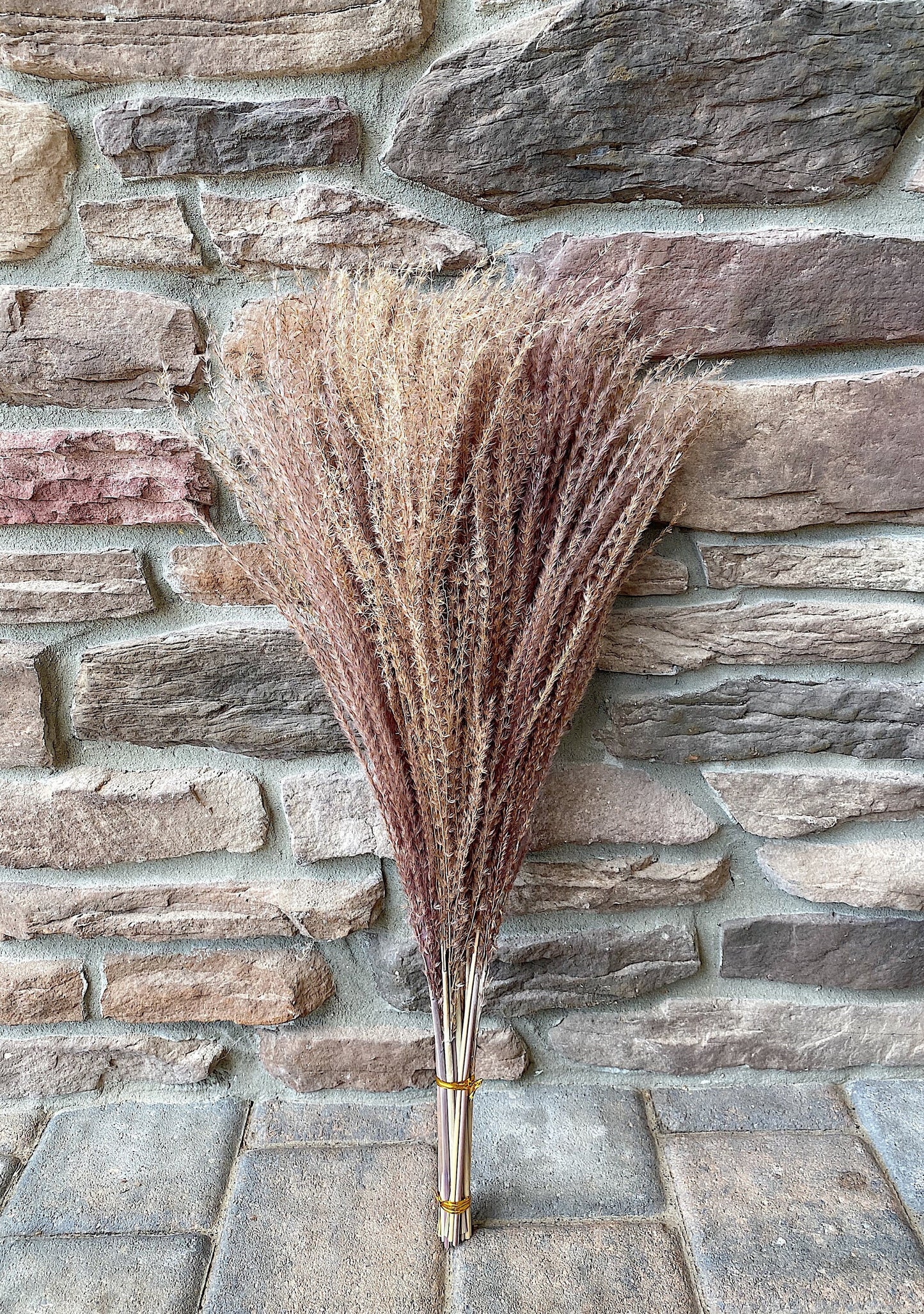 Pampas Grass Horsetail Whisk, Preserved Flowers, House Decor, Wedding, Pampas, Fluffy, Natural, Fall, Feather, Wheats and Grass, Short, Long
