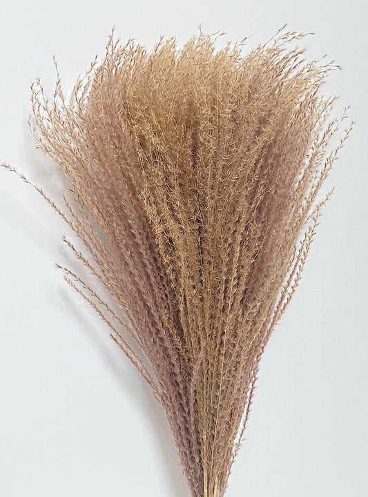 Pampas Grass Horsetail Whisk, Preserved Flowers, House Decor, Wedding, Pampas, Fluffy, Natural, Fall, Feather, Wheats and Grass, Short, Long