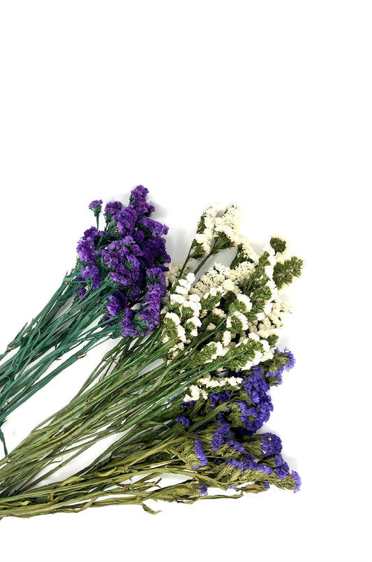 Sinuata Statice, Limonium Sinuatum, Pink, Rose, Blue Statice, Blue, White, Dried, Preserved Flowers Real Flowers Wedding Flowers Bouquet